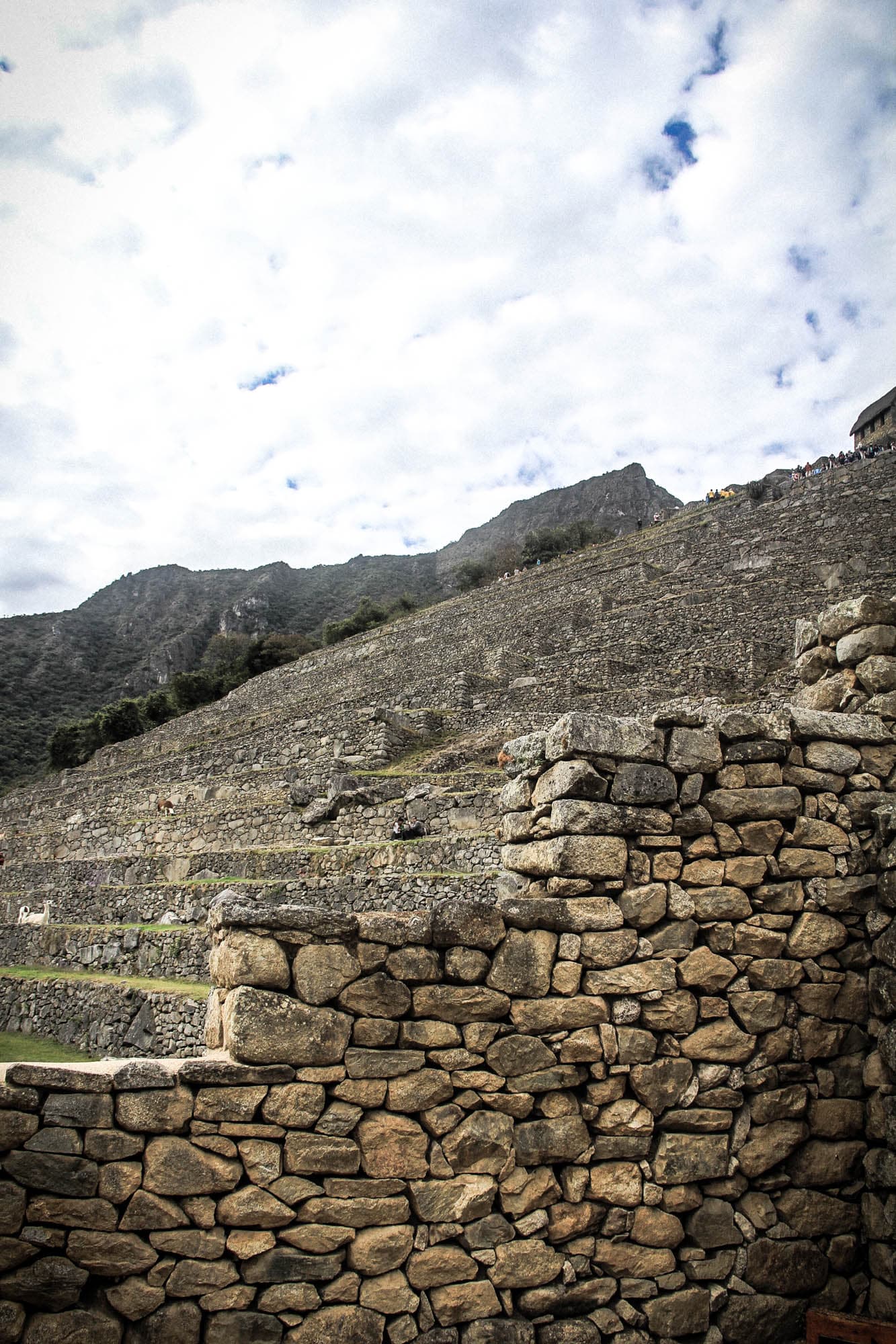 Incan Trail & Machu Picchu