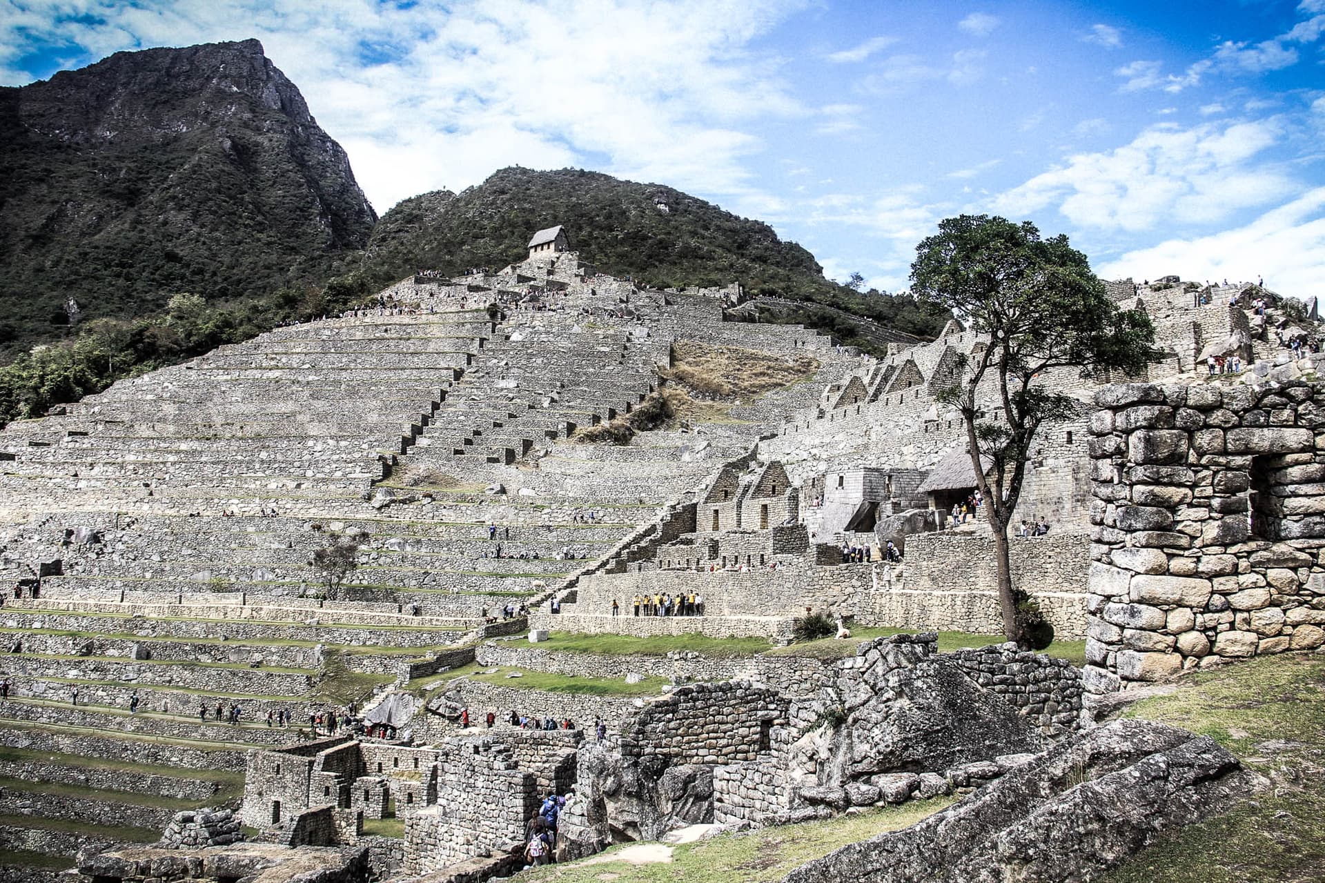 Incan Trail & Machu Picchu