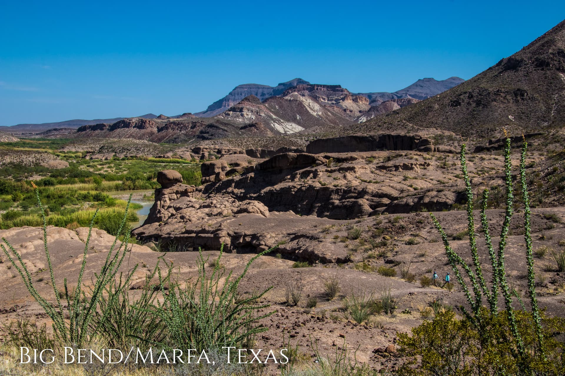 Big Bend National Park & Marfa Texas