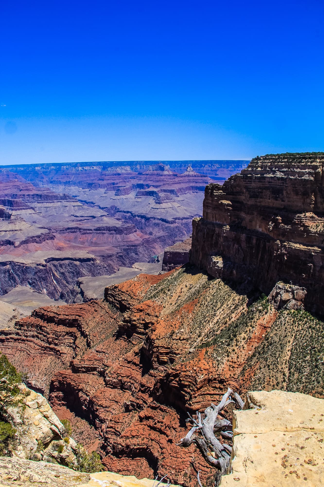 Arizona