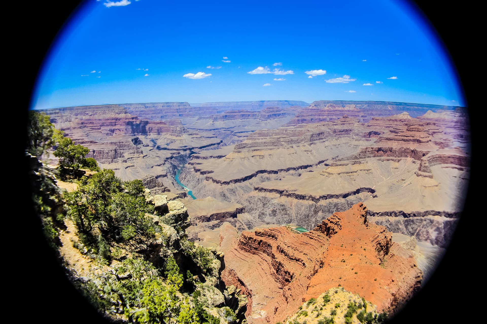 Arizona