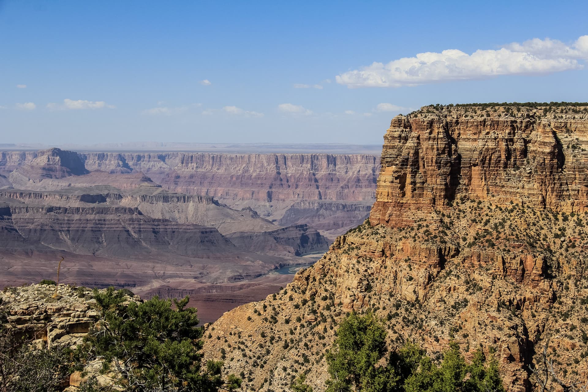 Arizona