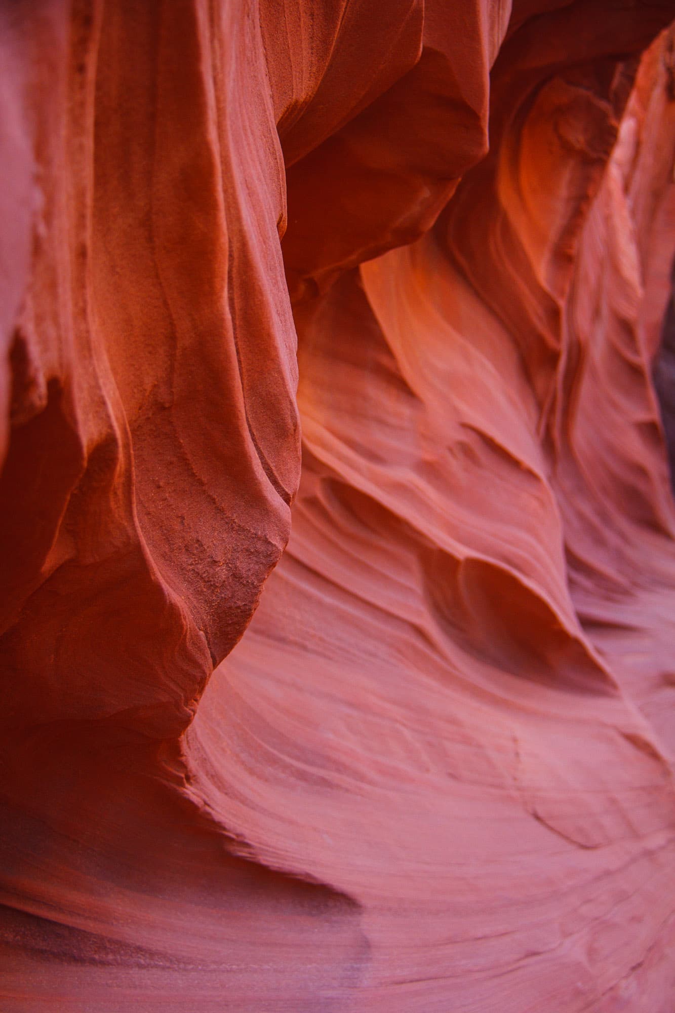 Arizona