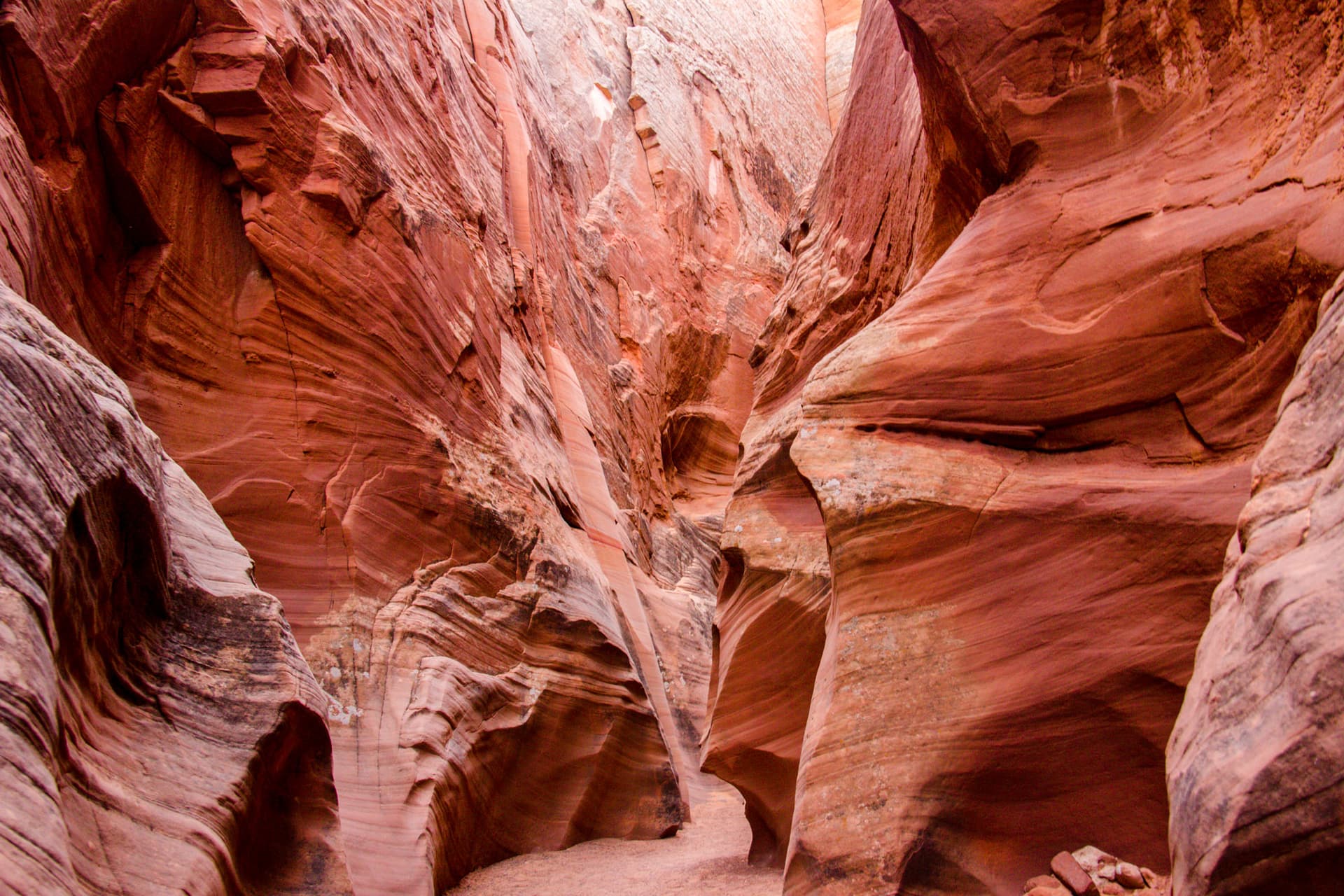Arizona
