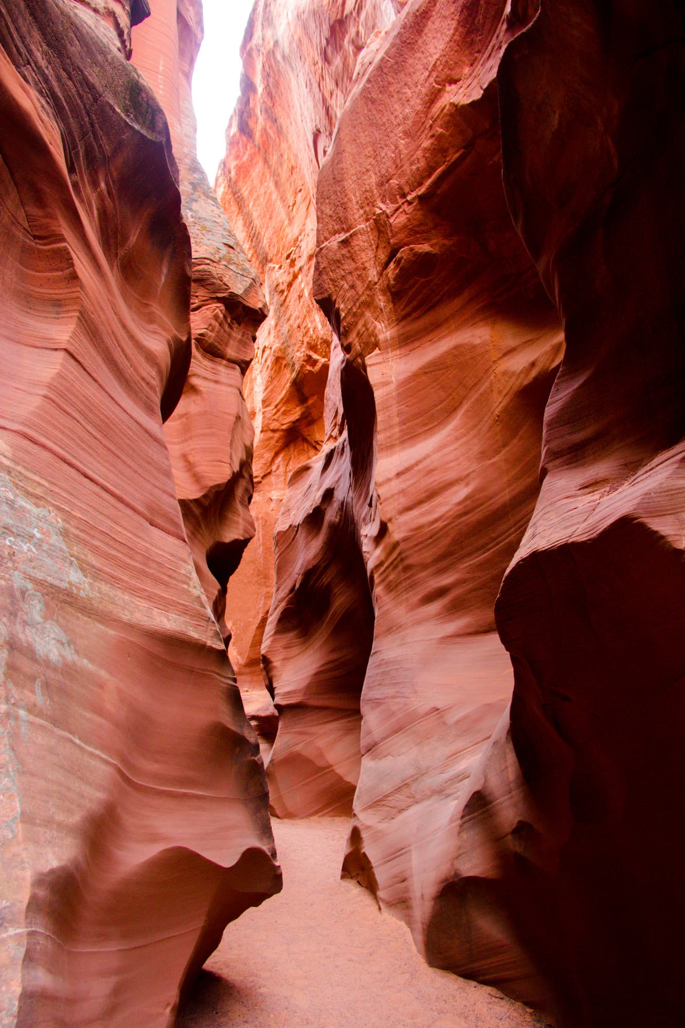 Arizona