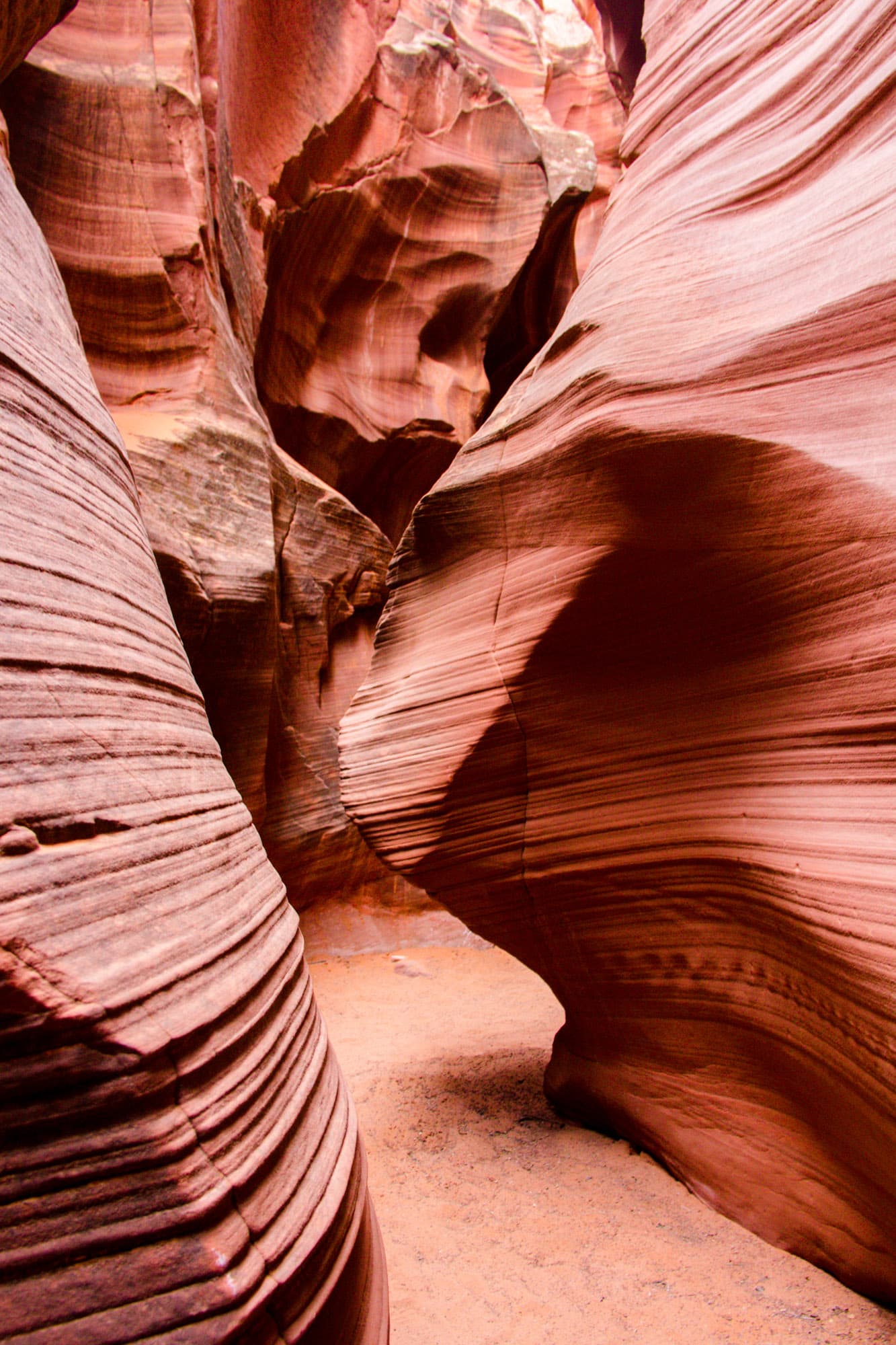 Arizona