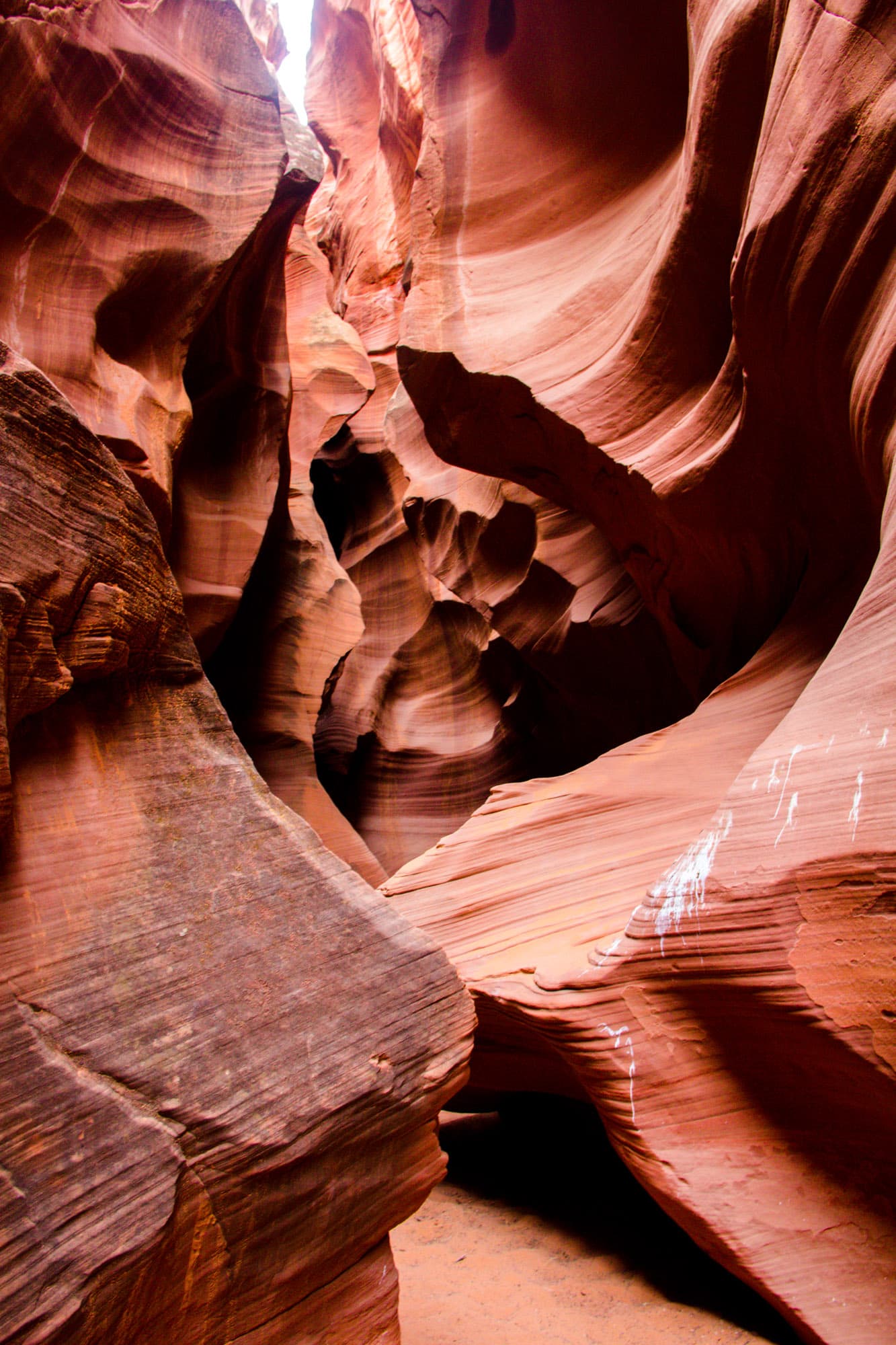 Arizona