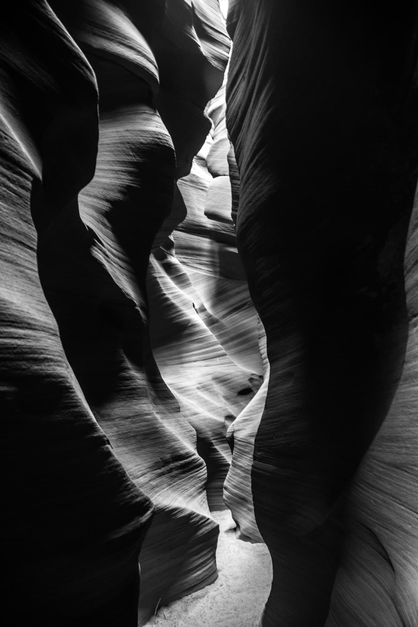 Arizona