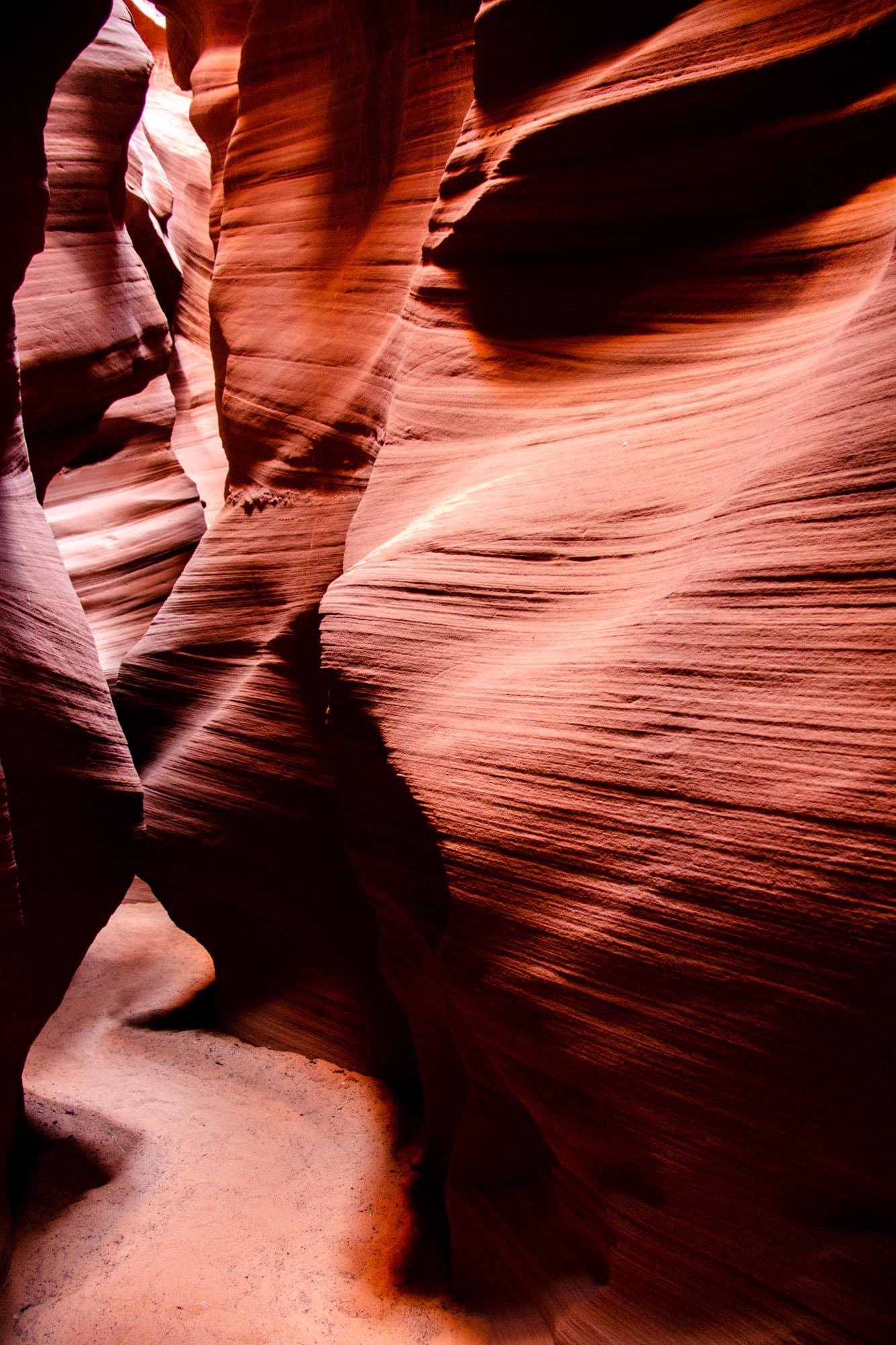 Arizona