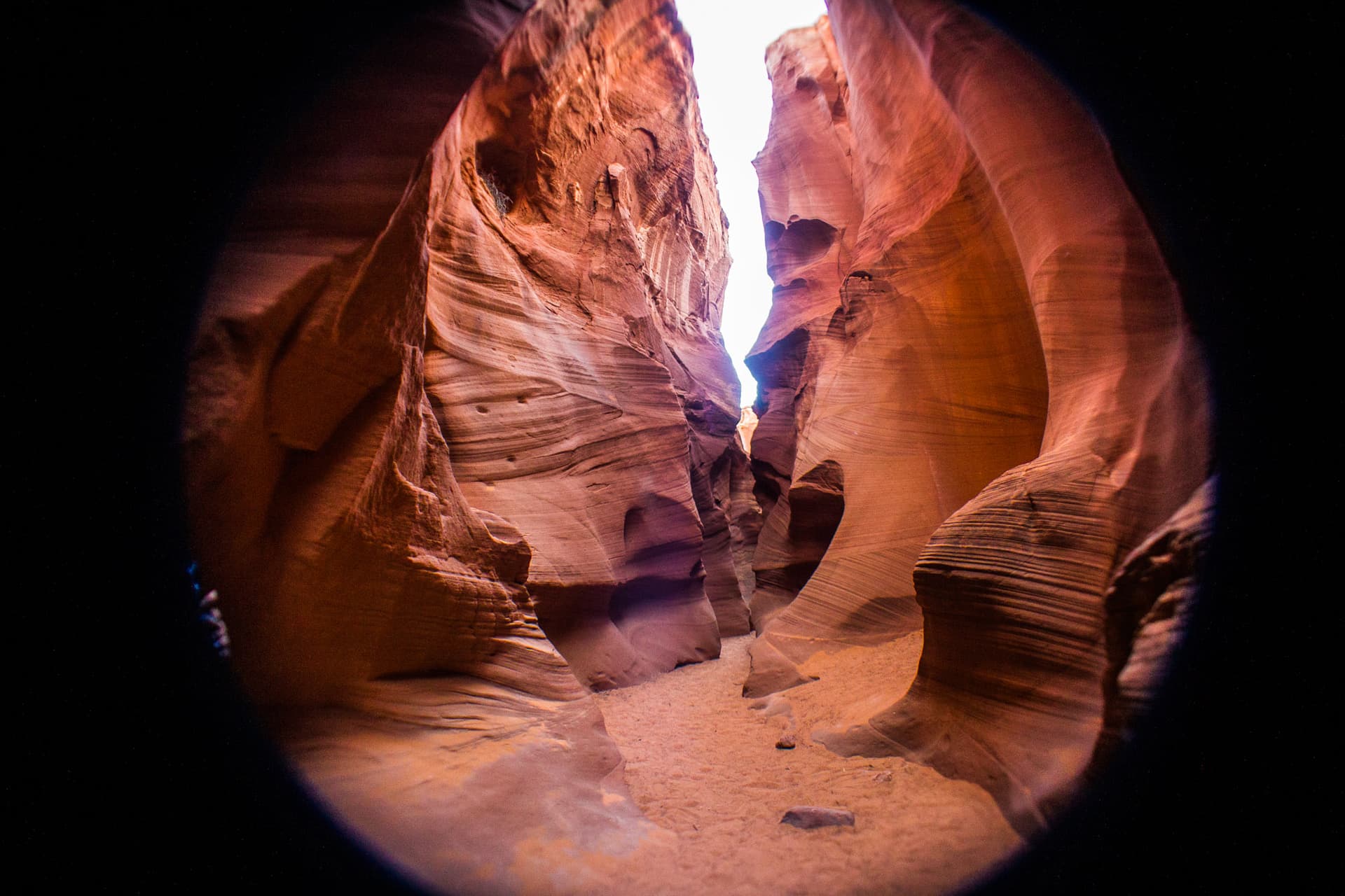 Arizona