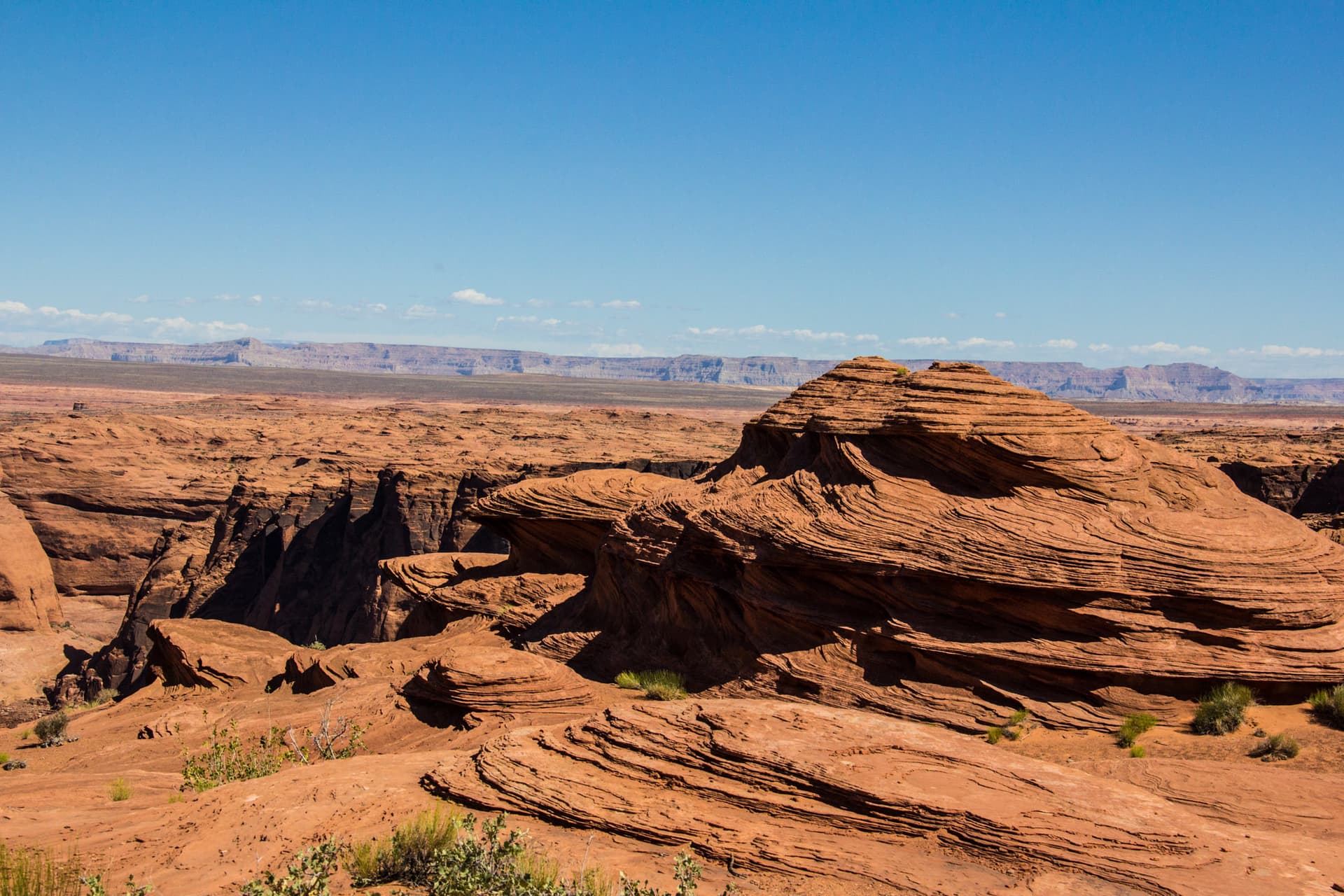 Arizona