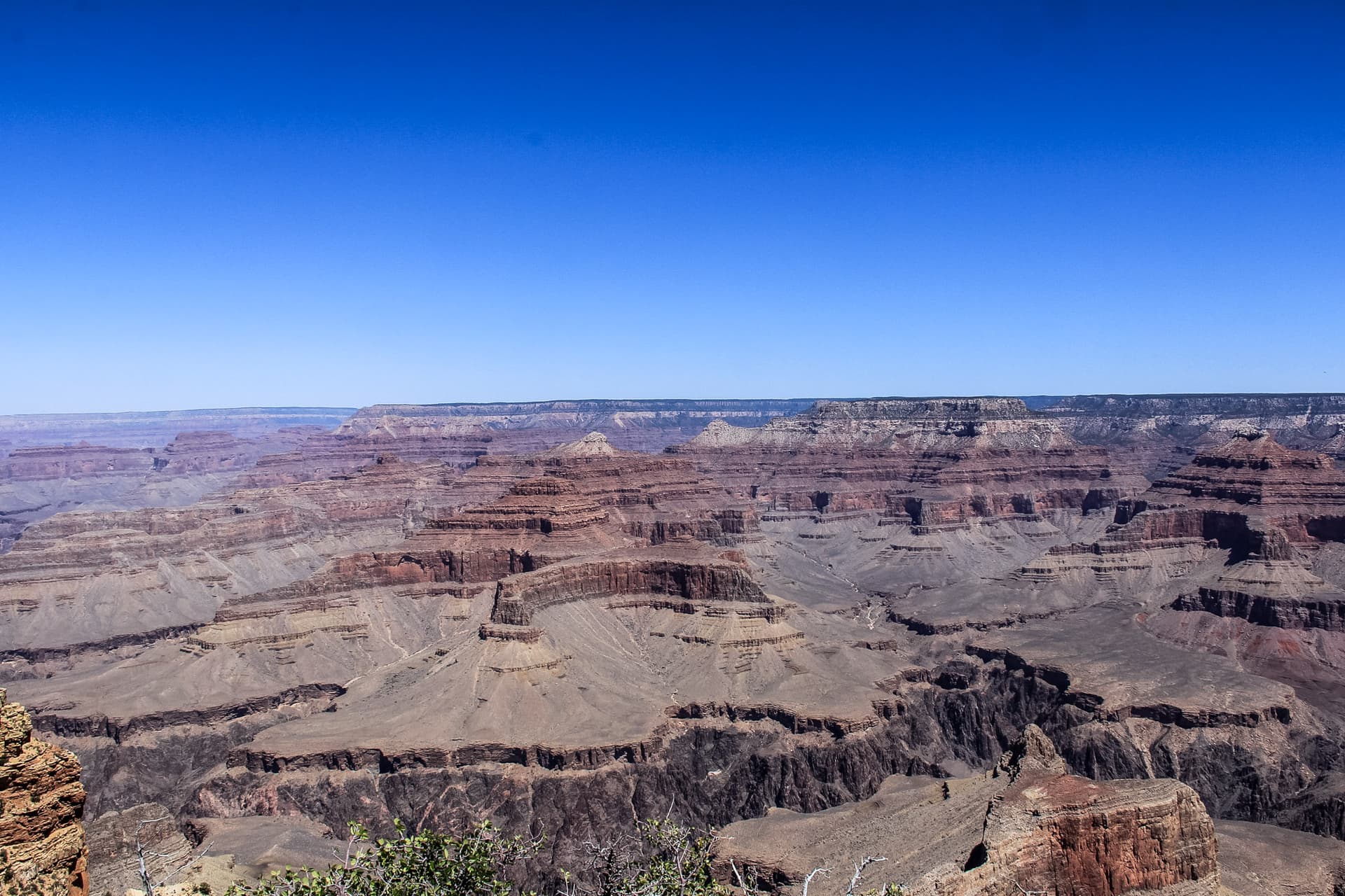 Arizona
