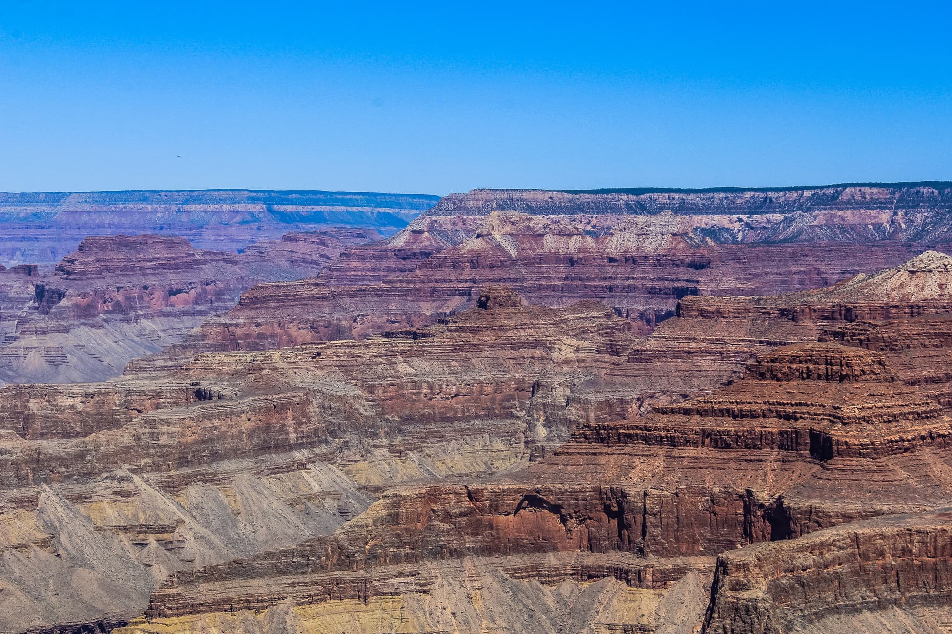 Arizona