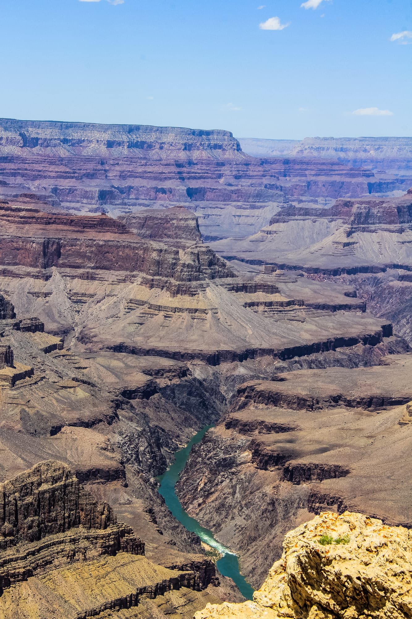 Arizona