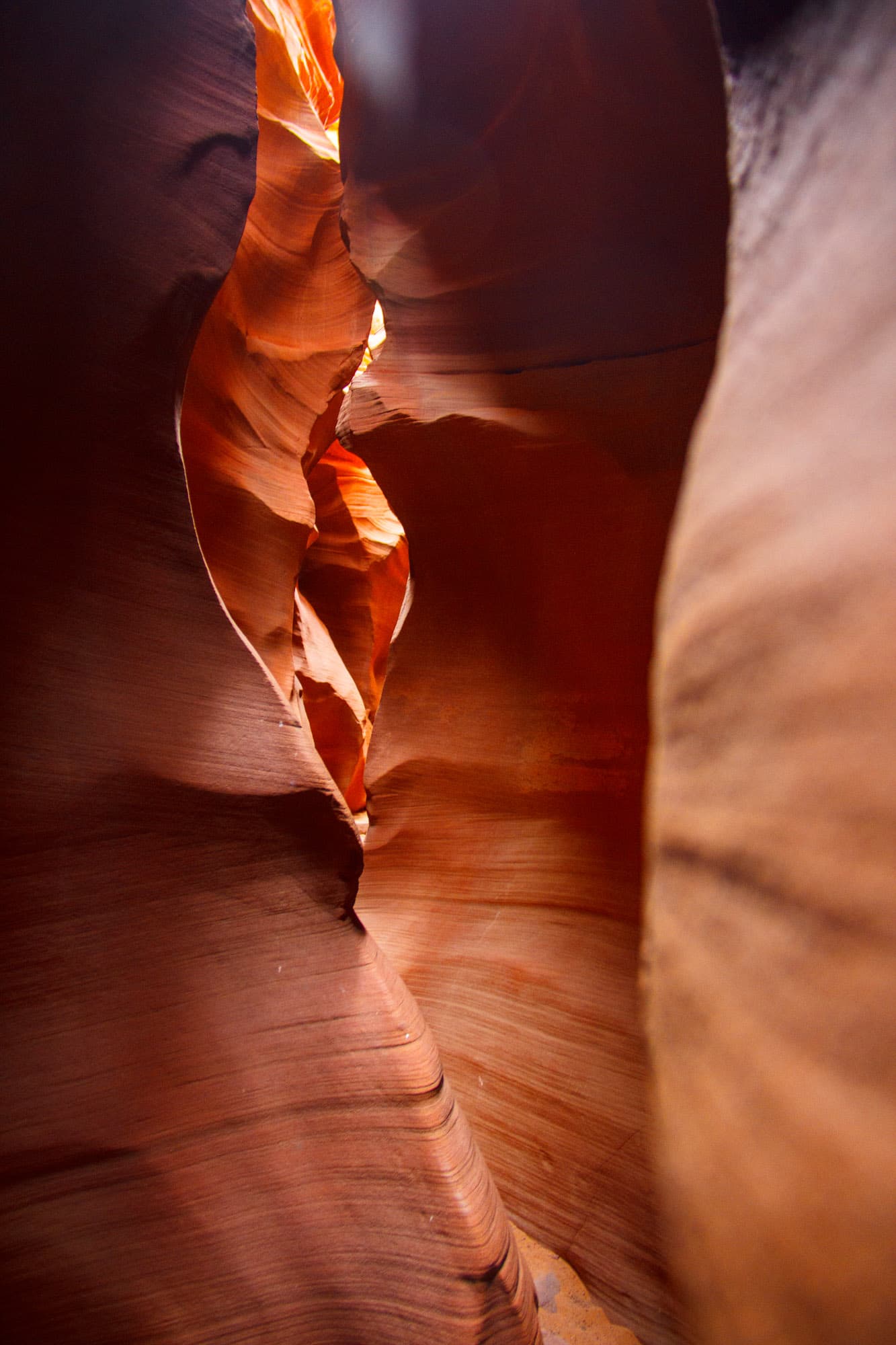 Arizona