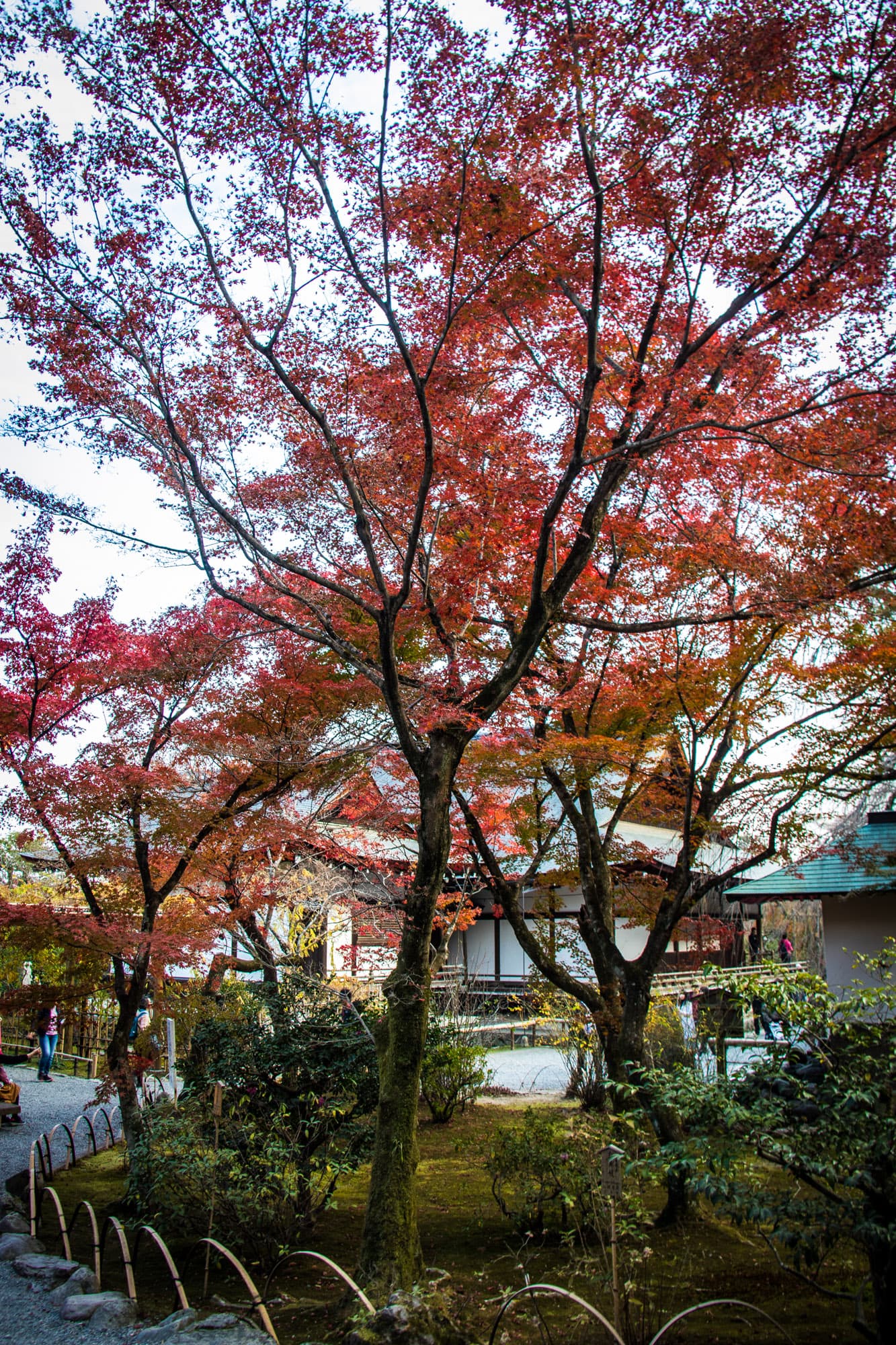 Kyoto, Japan