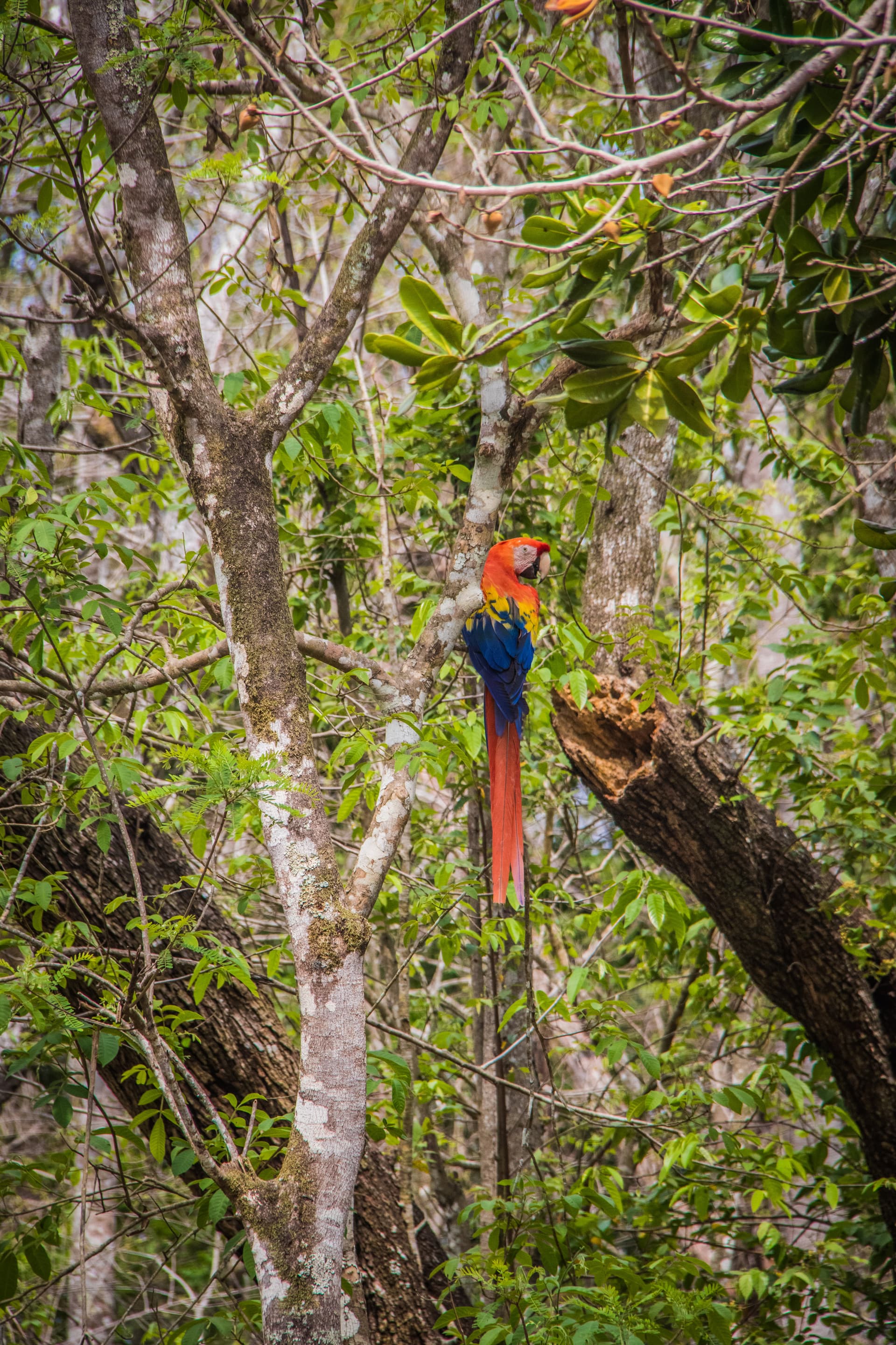 Copan, Honduras