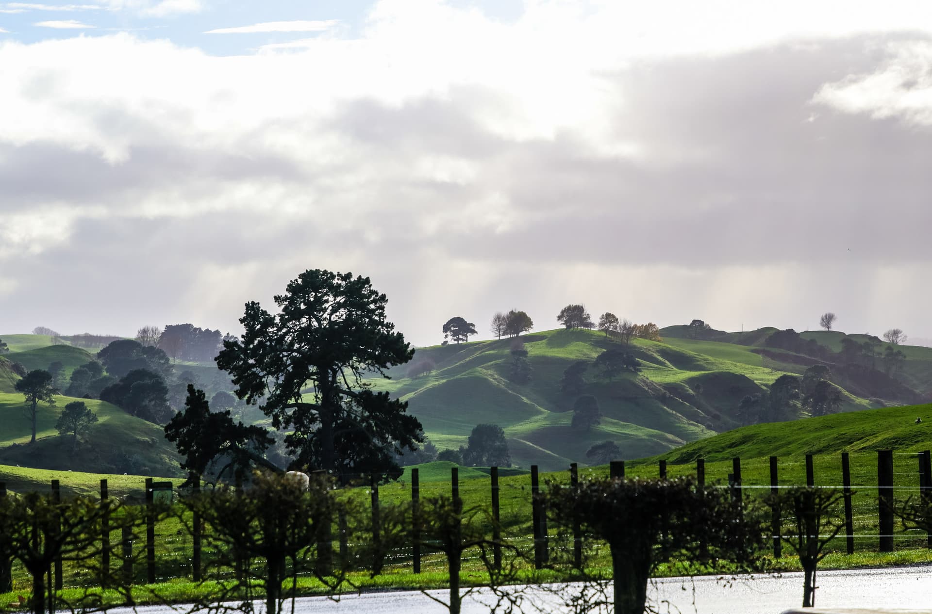 Hobbiton, New Zealand
