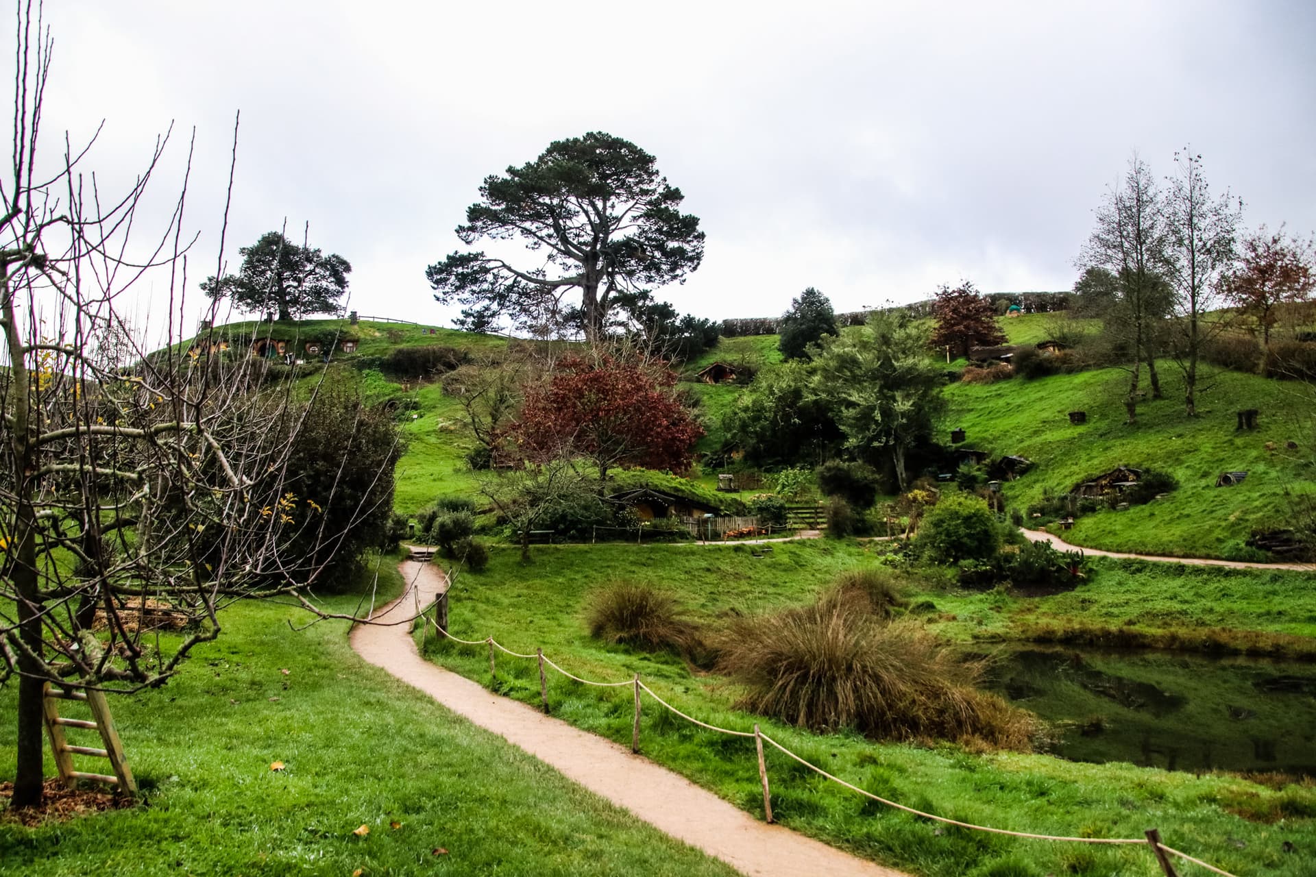 Hobbiton, New Zealand