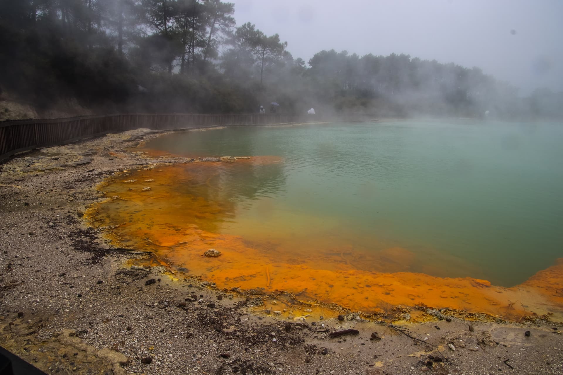Rotorua, New Zealand