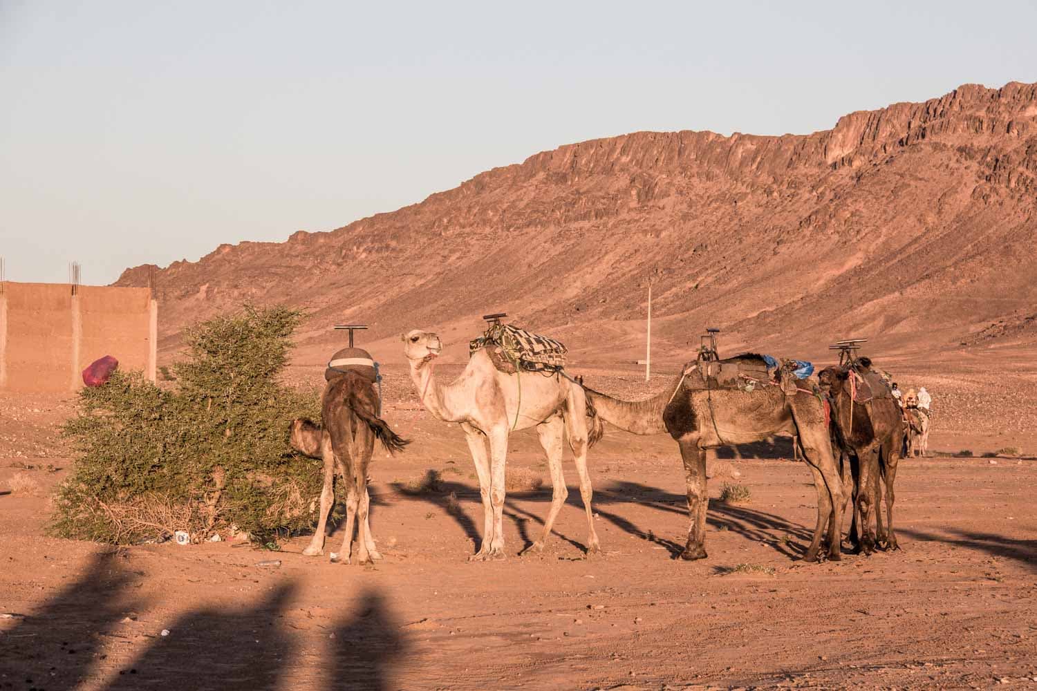 Sahara Desert, Morocco