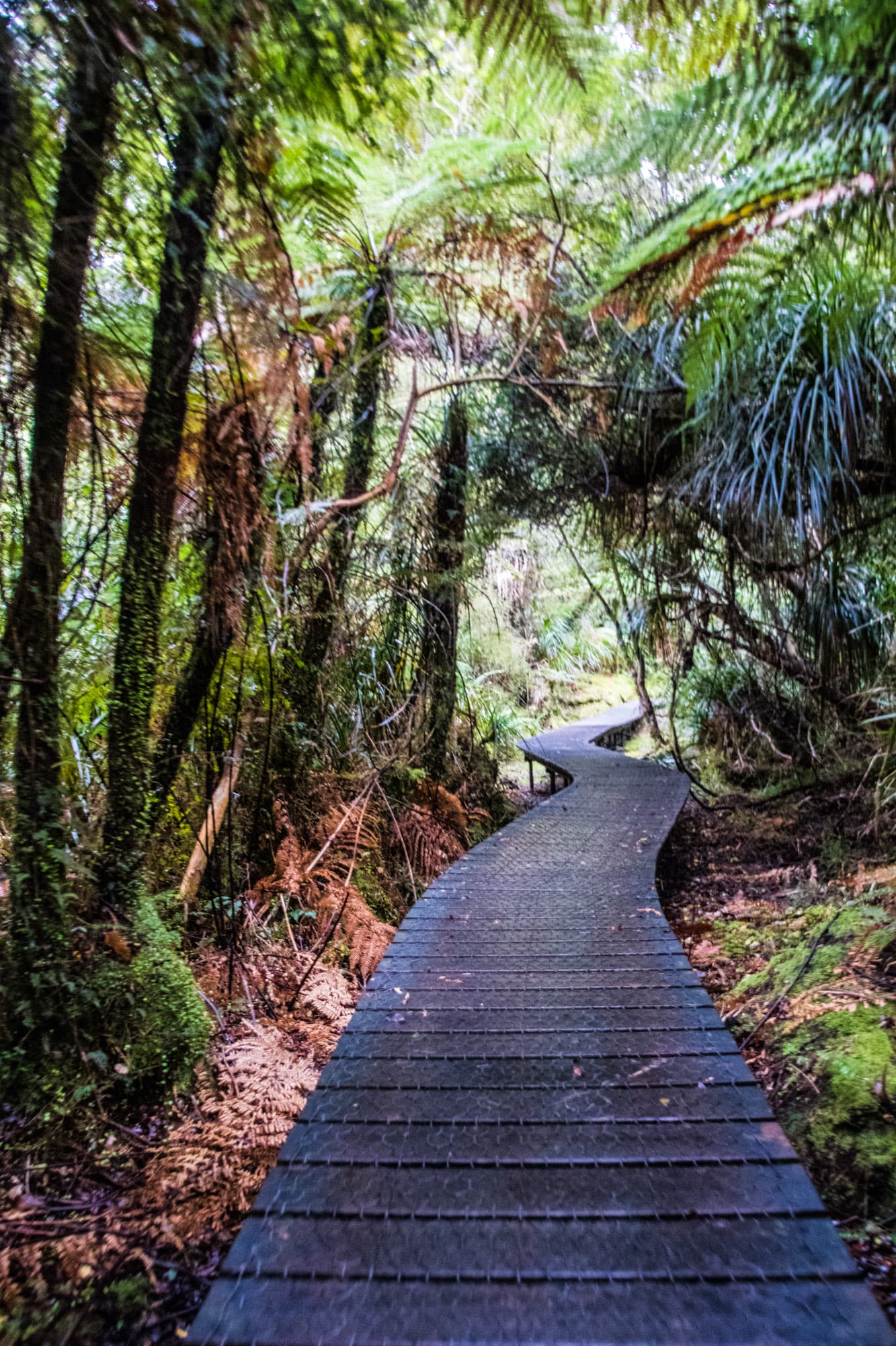 West Coast New Zealand