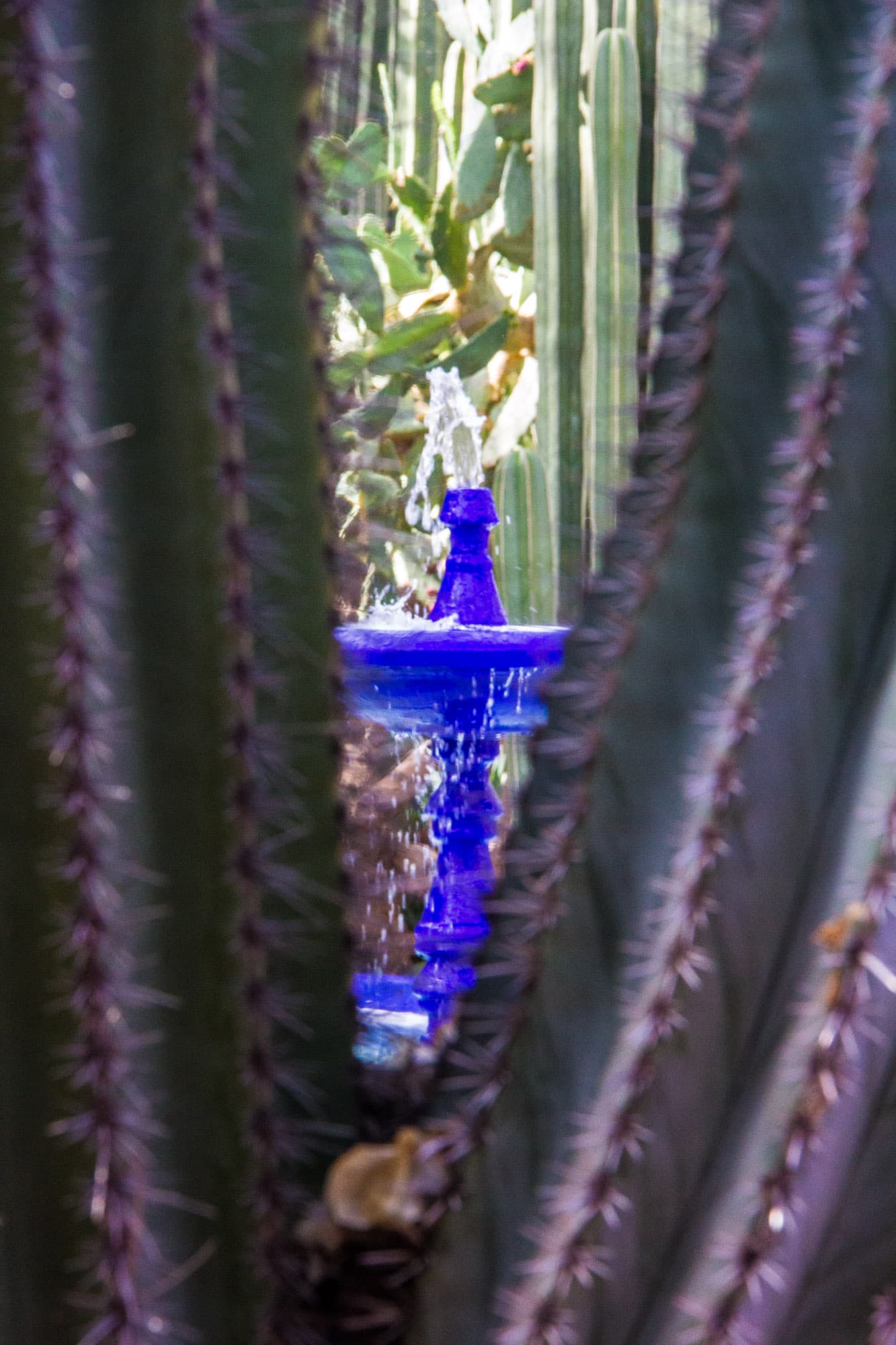 Marrakesh, Morrocco