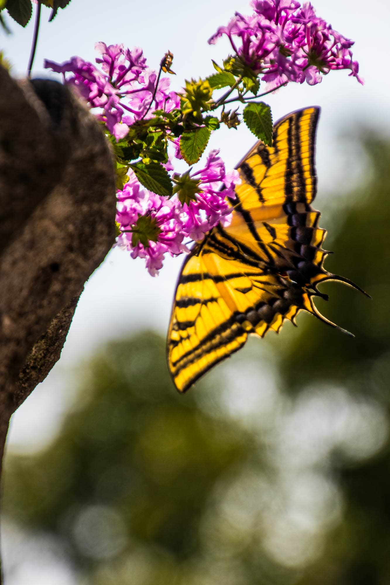 Mexico City, Mexico