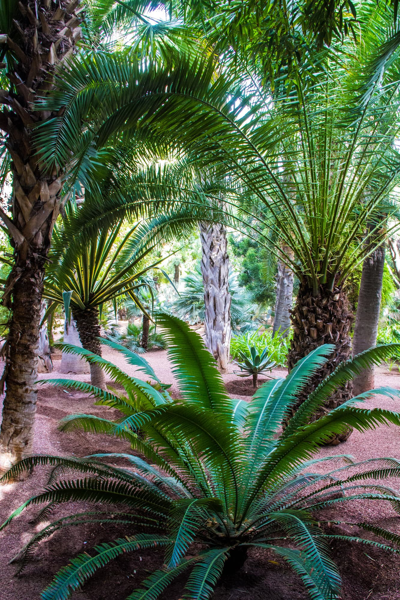 Marrakesh, Morrocco