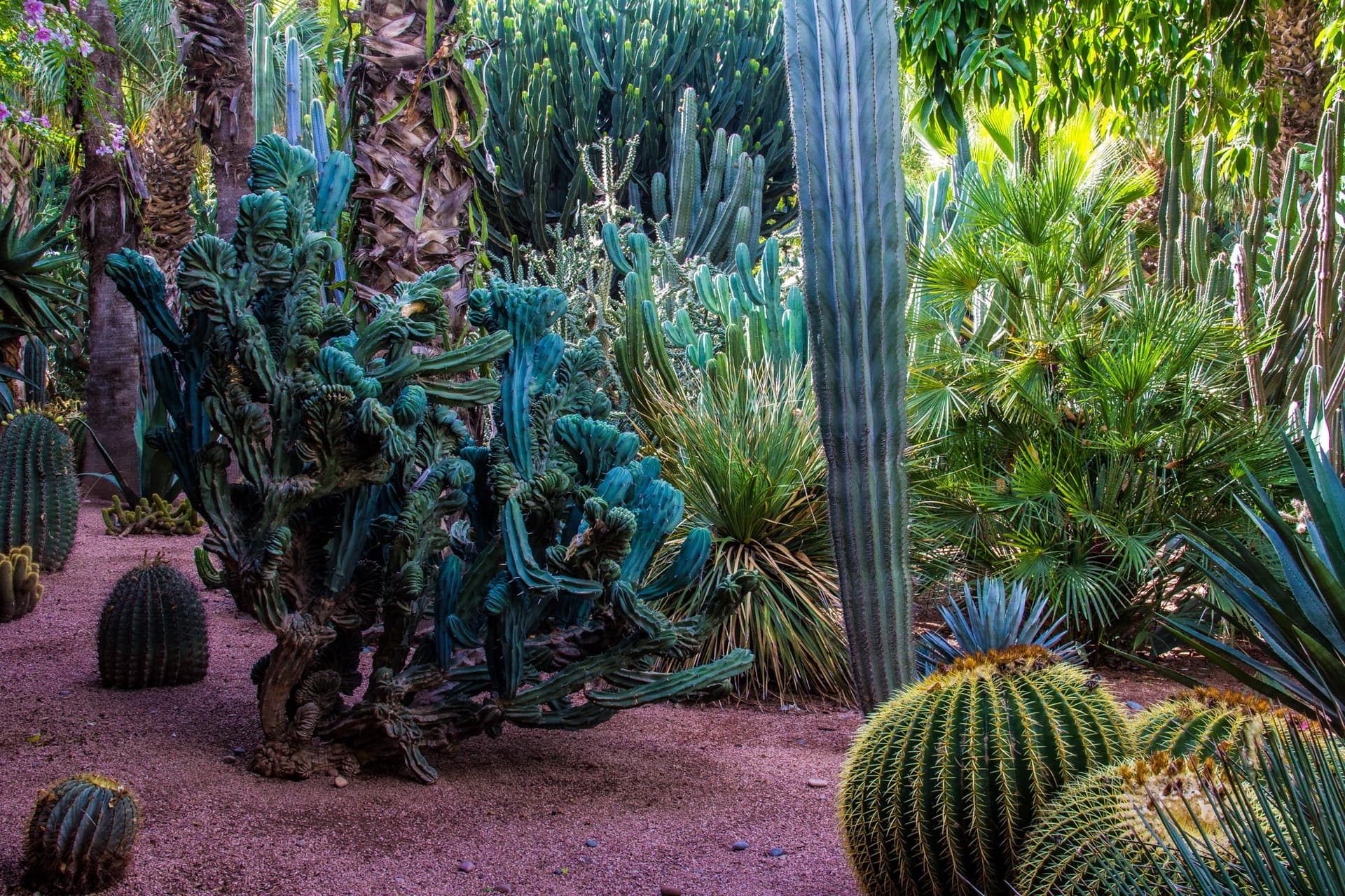 Marrakesh, Morrocco