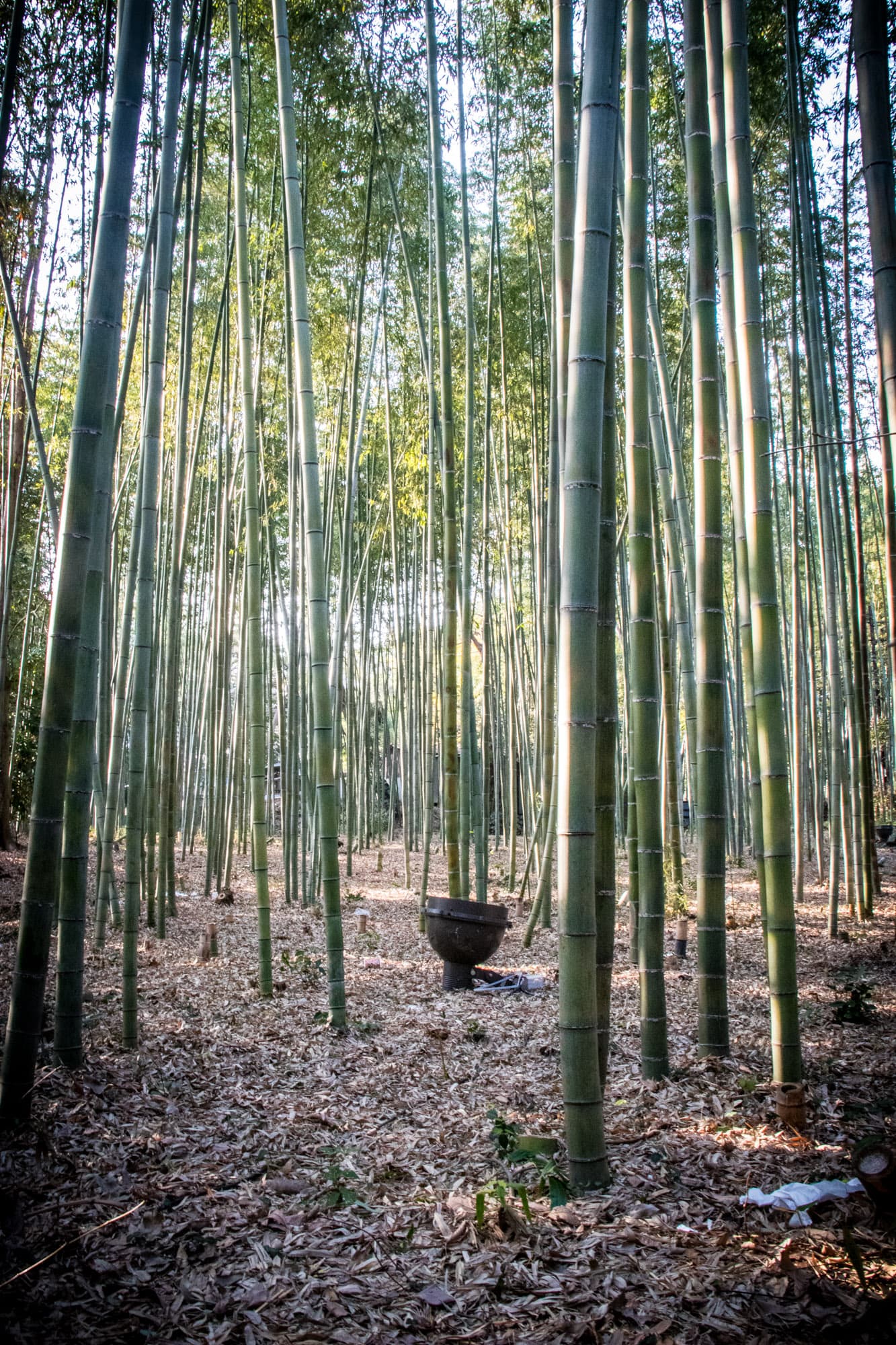 Kyoto, Japan