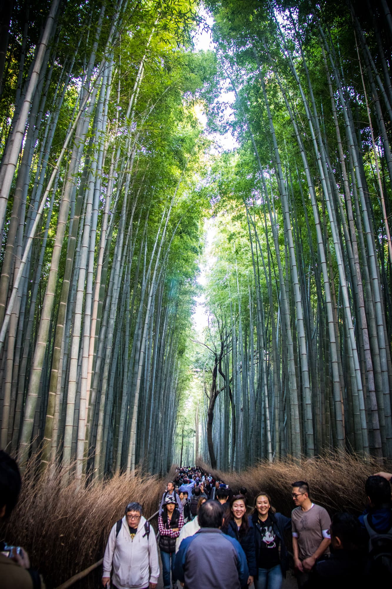 Kyoto, Japan