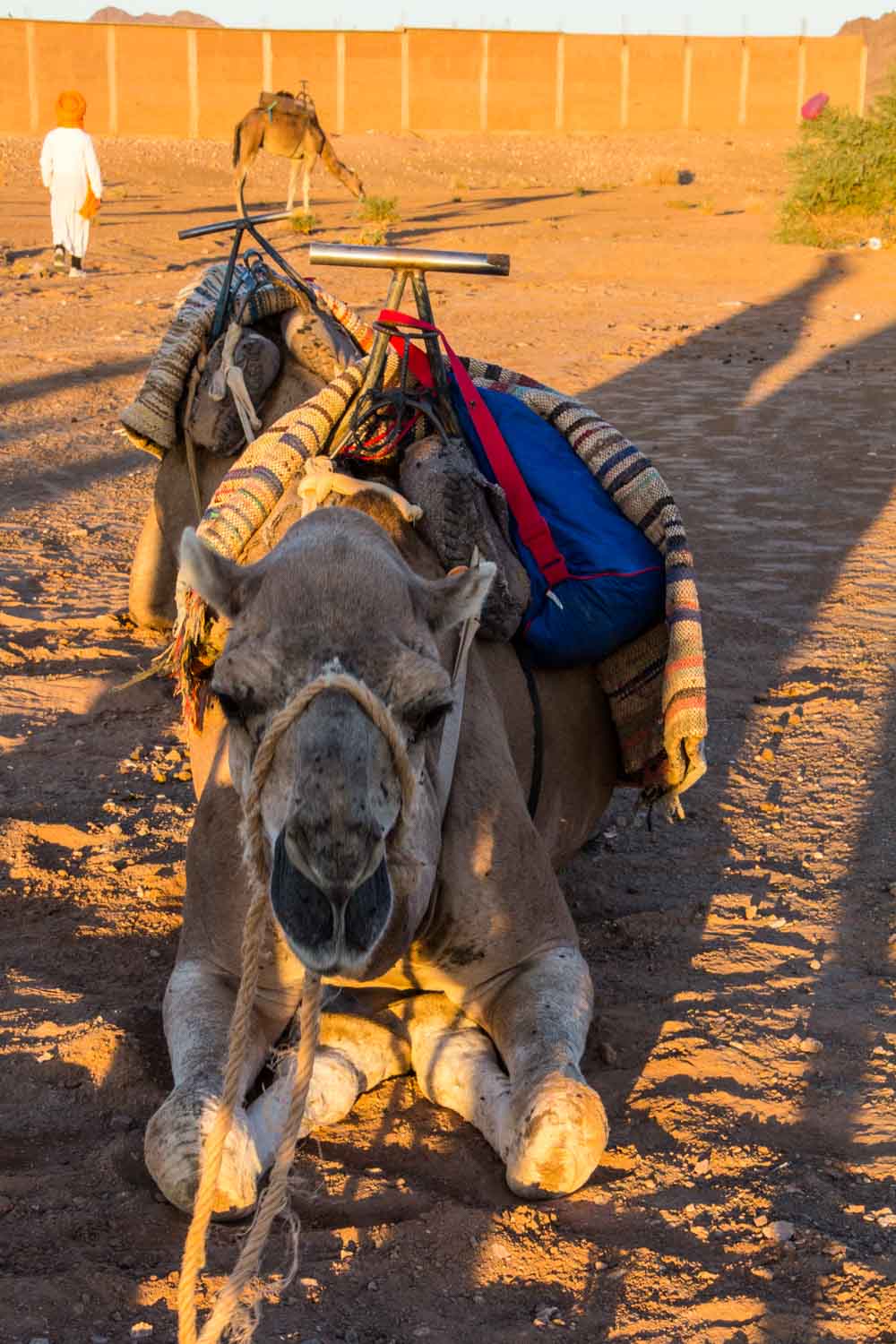 Sahara Desert, Morocco