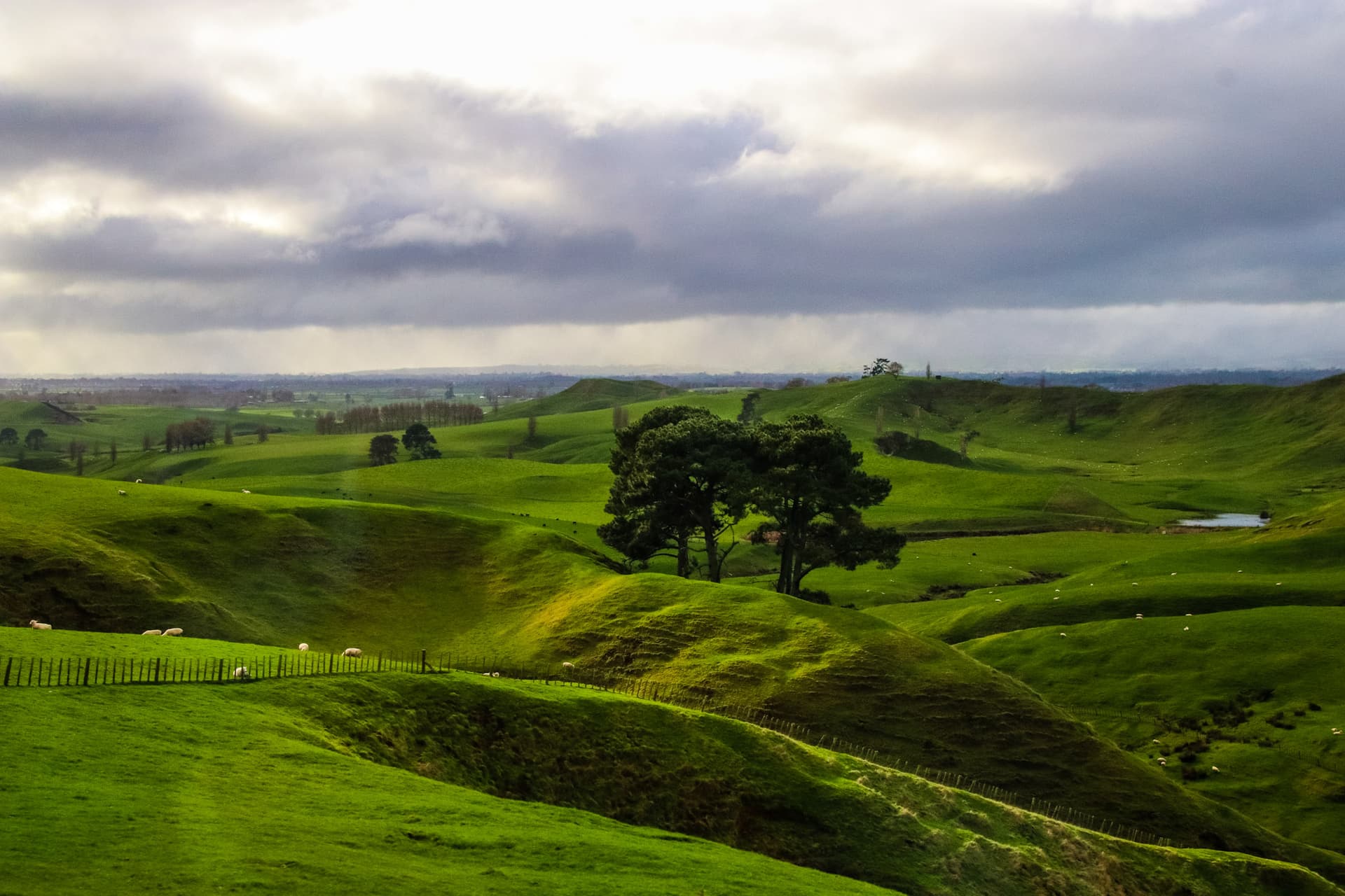 Hobbiton, New Zealand
