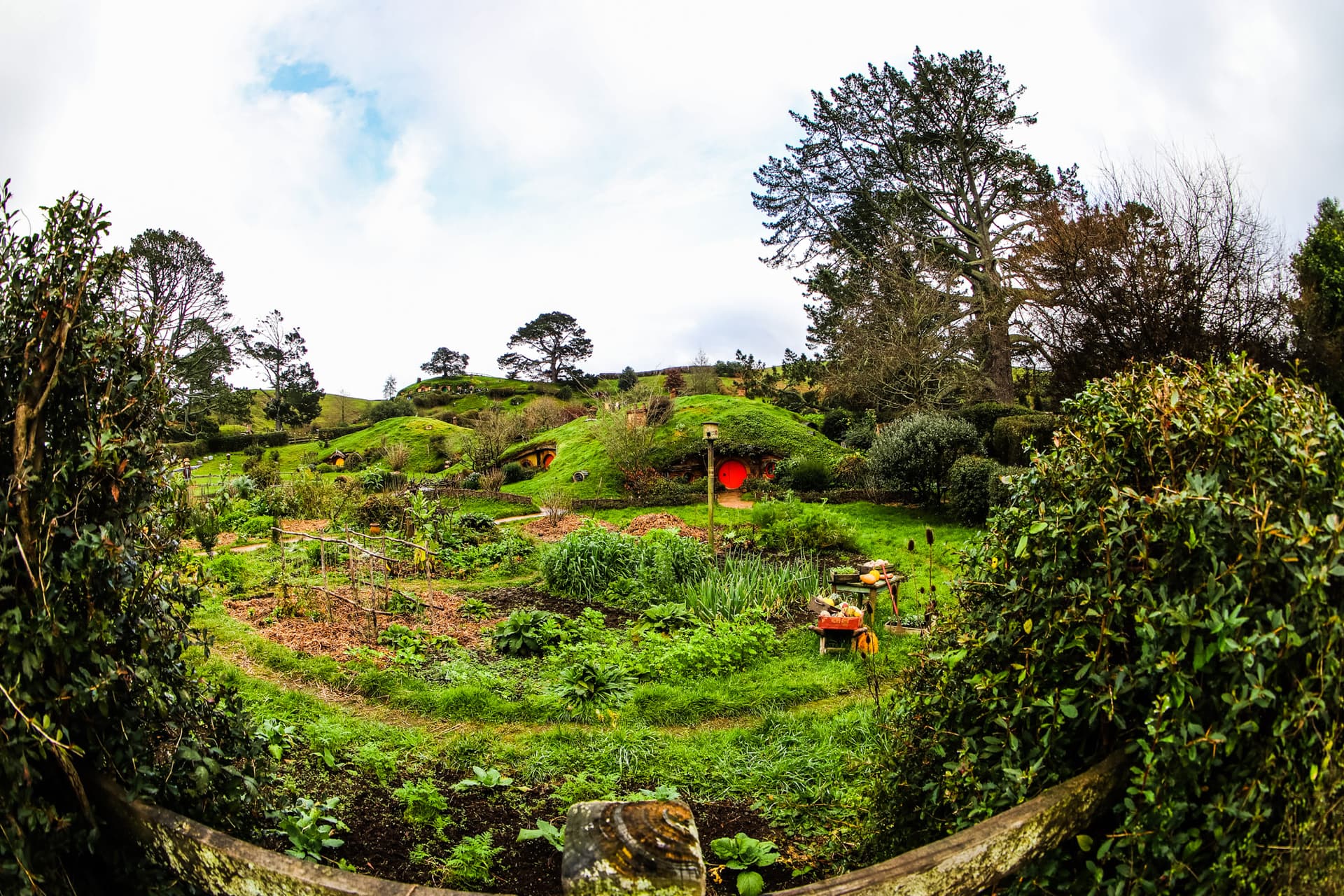 Hobbiton, New Zealand