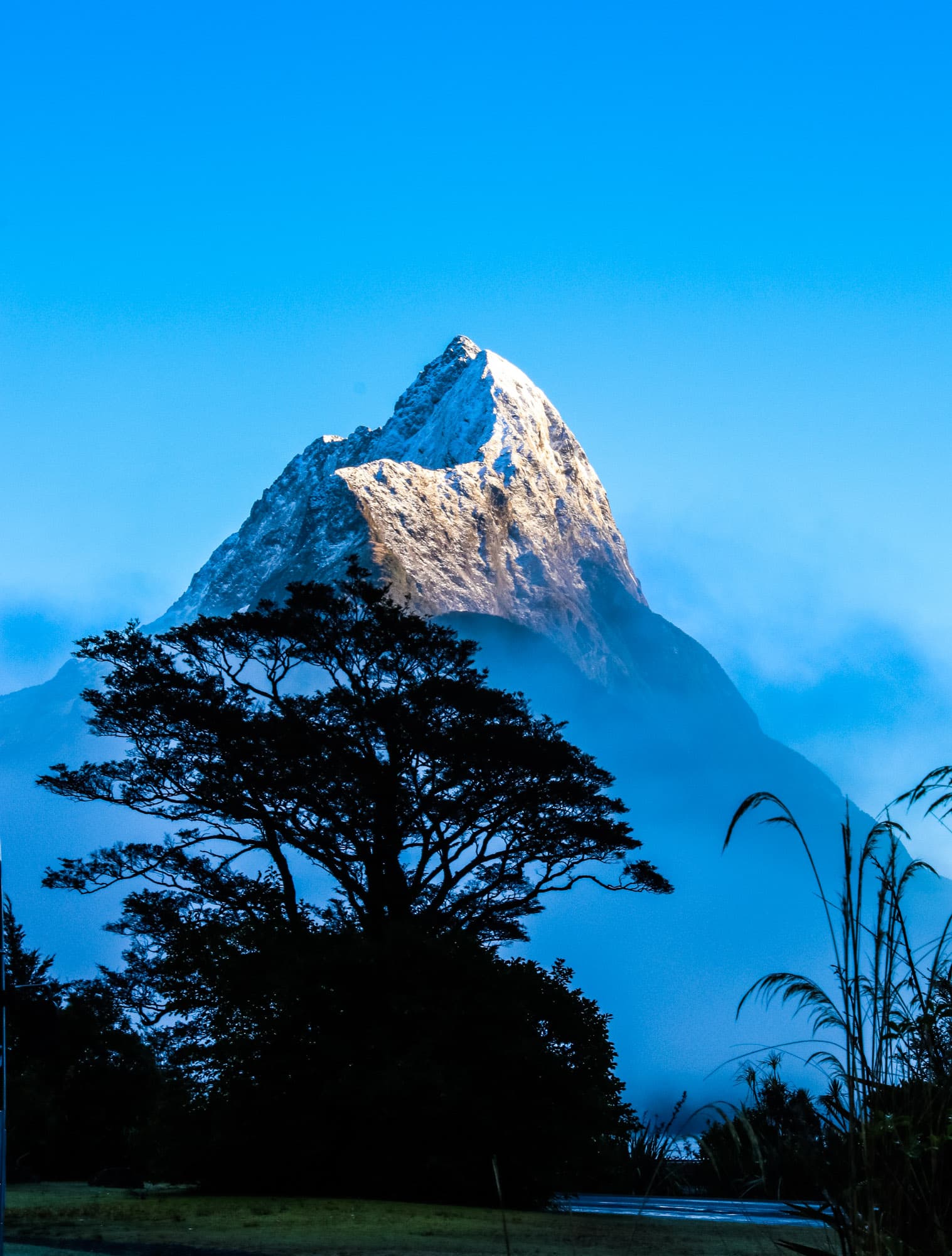 Milford Sound, New Zealand