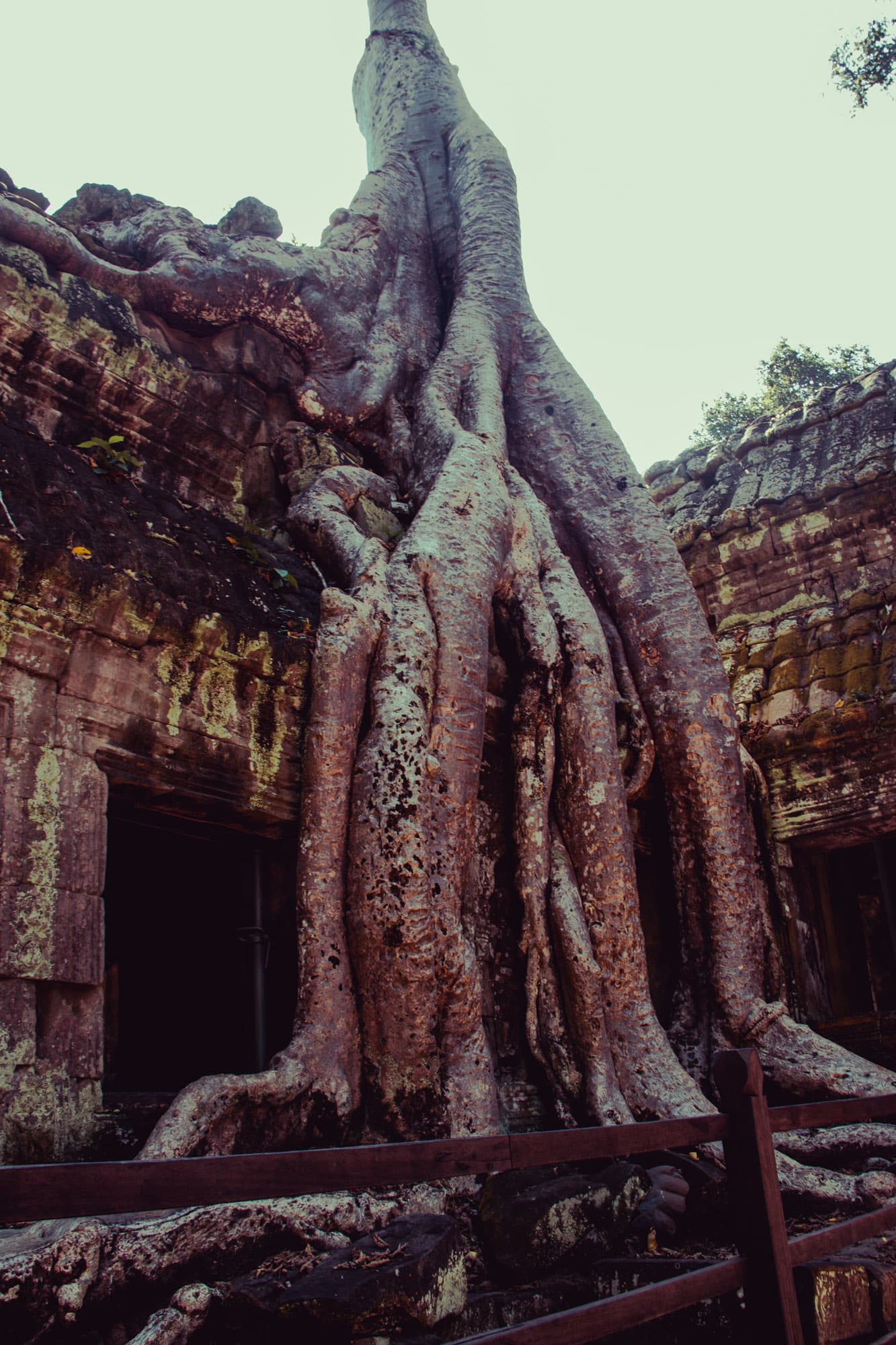 Angkor Wat, Cambodia