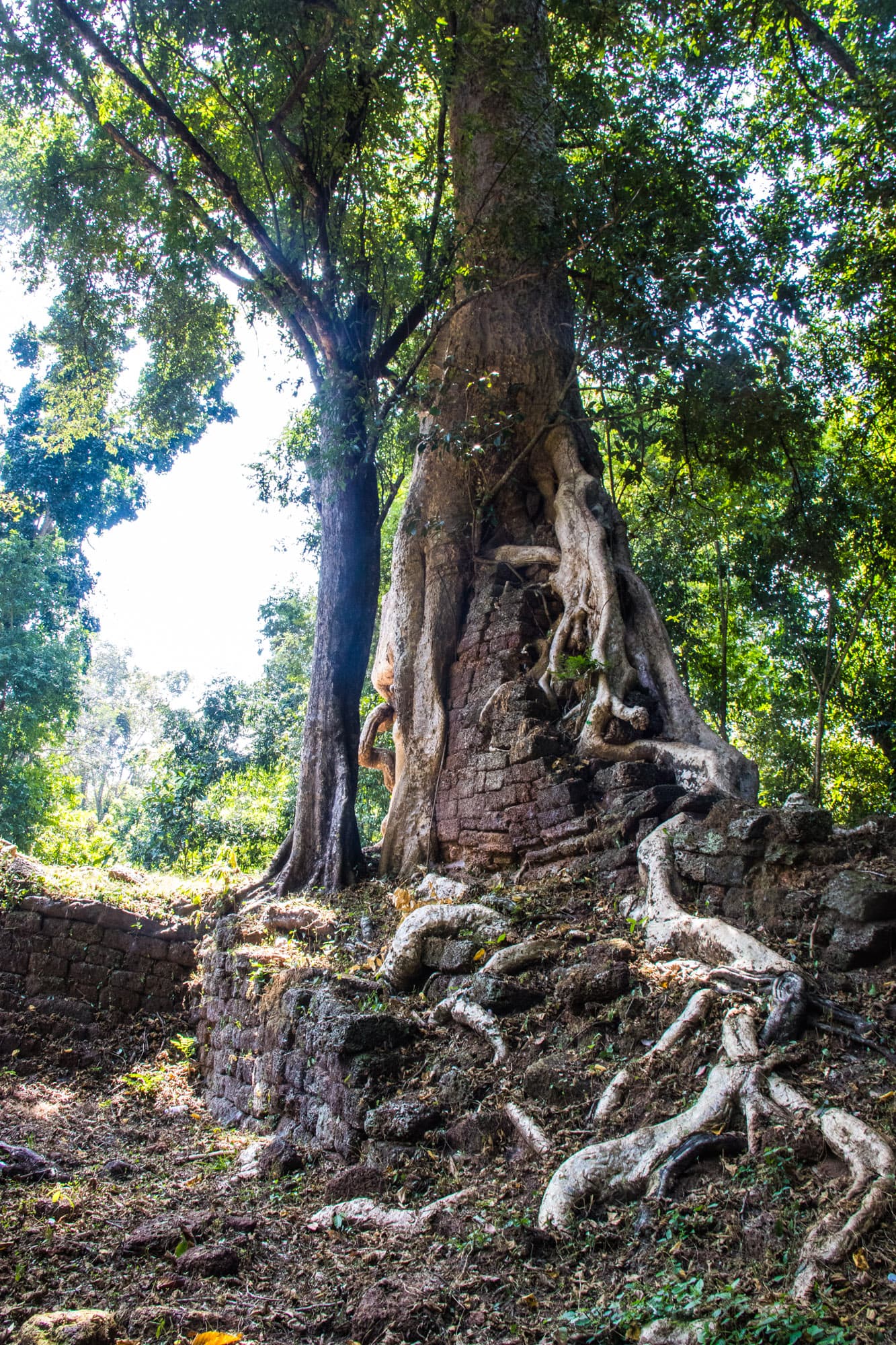 Angkor Wat, Cambodia