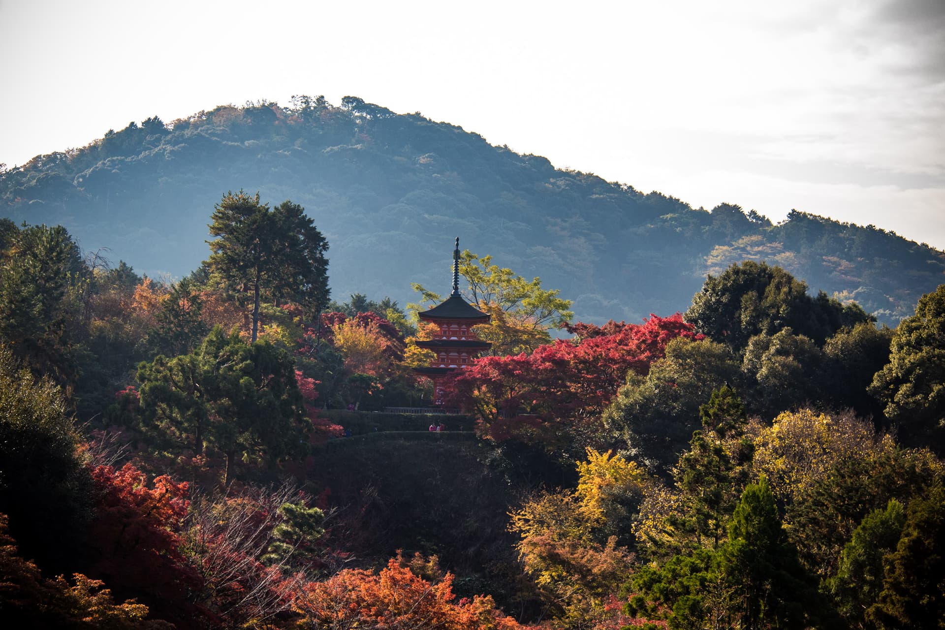 Kyoto, Japan