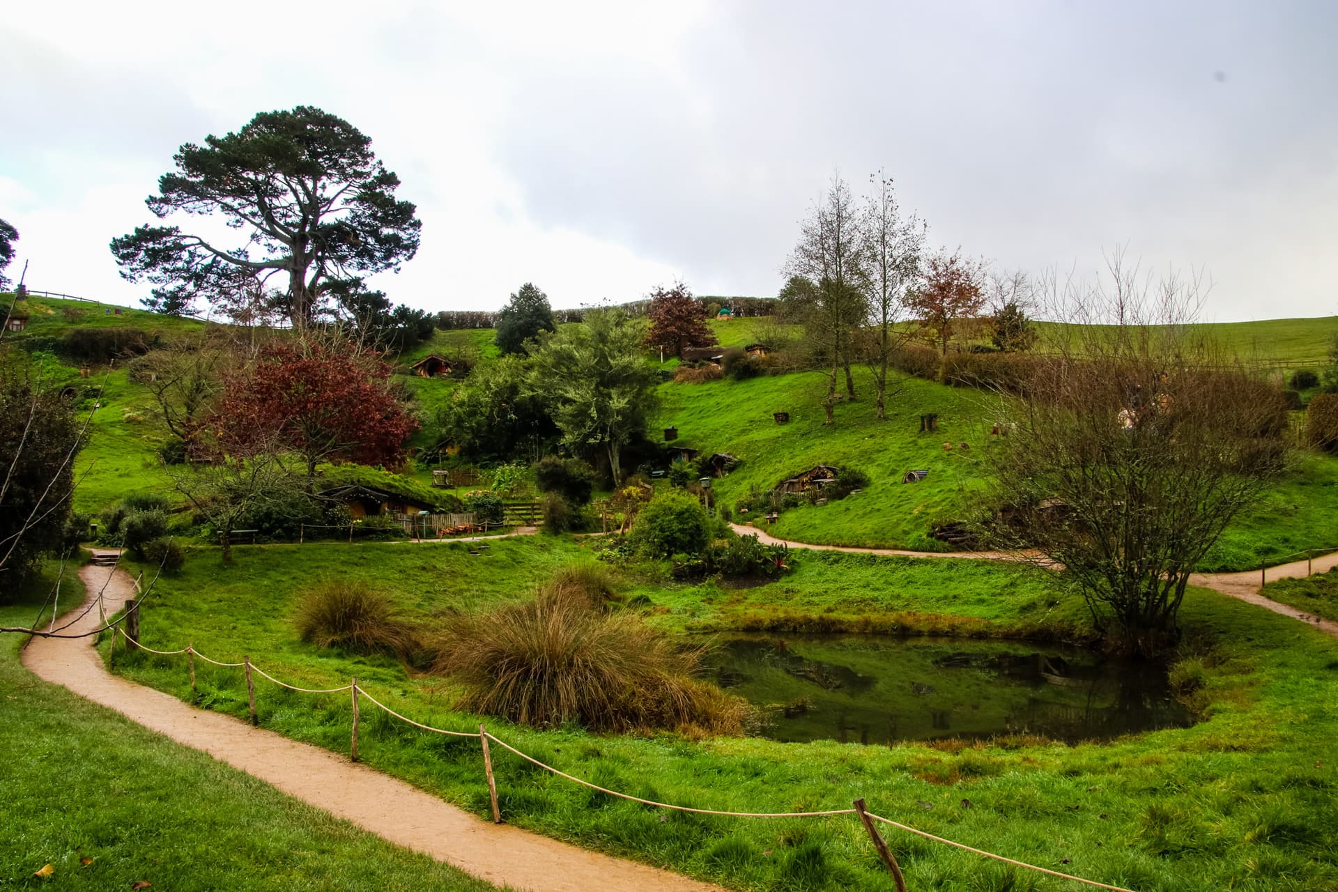 Hobbiton, New Zealand
