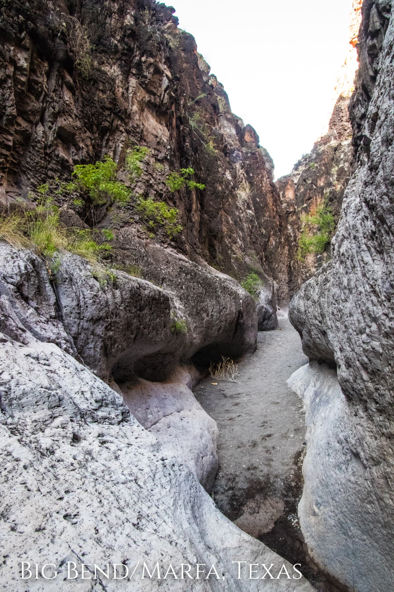 Big Bend National Park & Marfa Texas