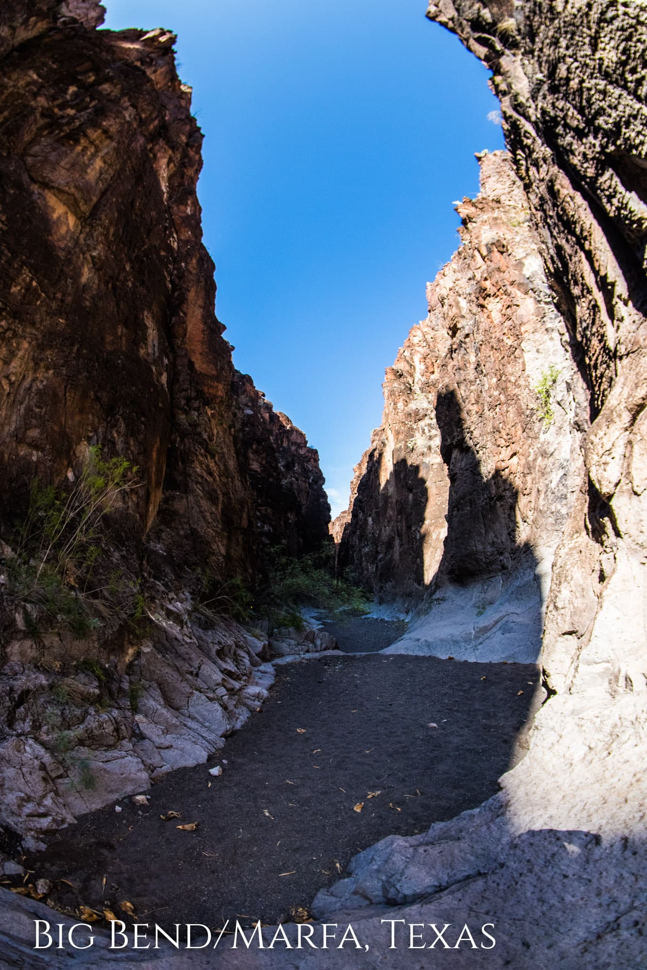 Big Bend National Park & Marfa Texas