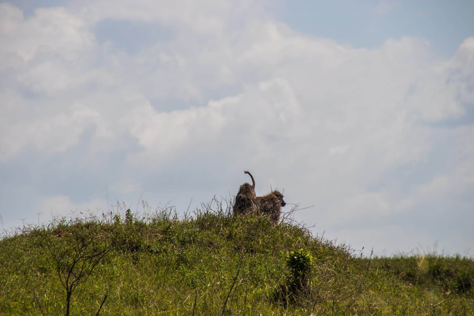 Lake Nakuru Kenya