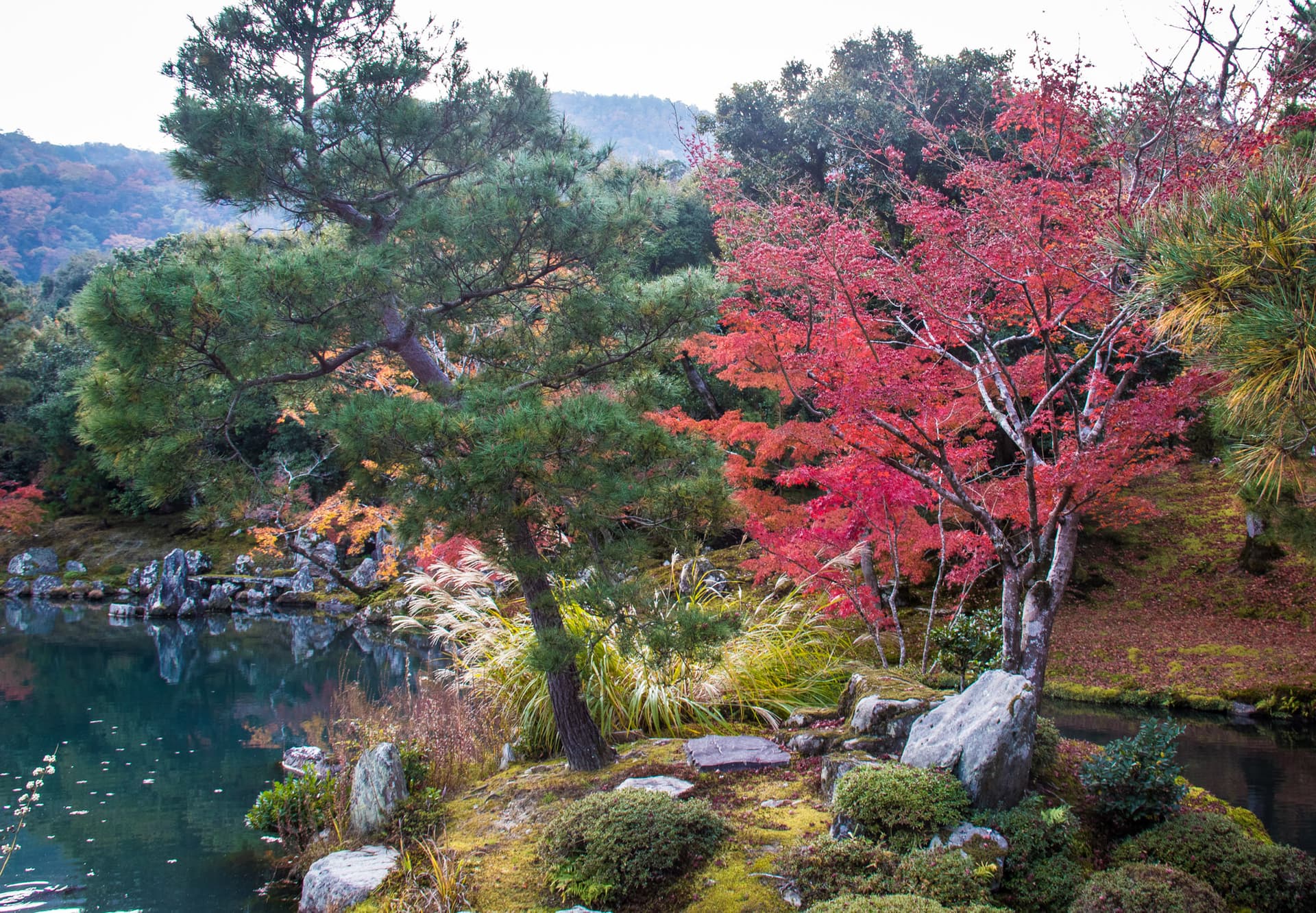 Kyoto, Japan