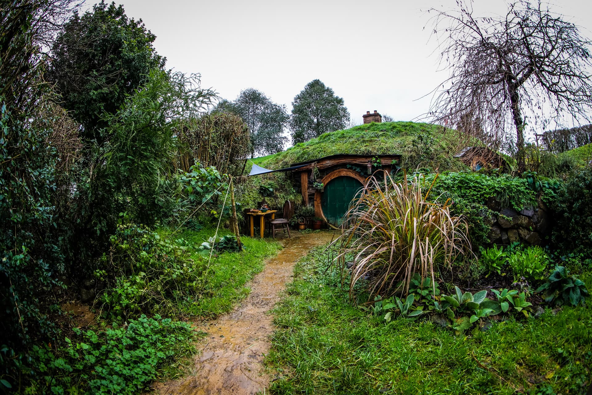 Hobbiton, New Zealand