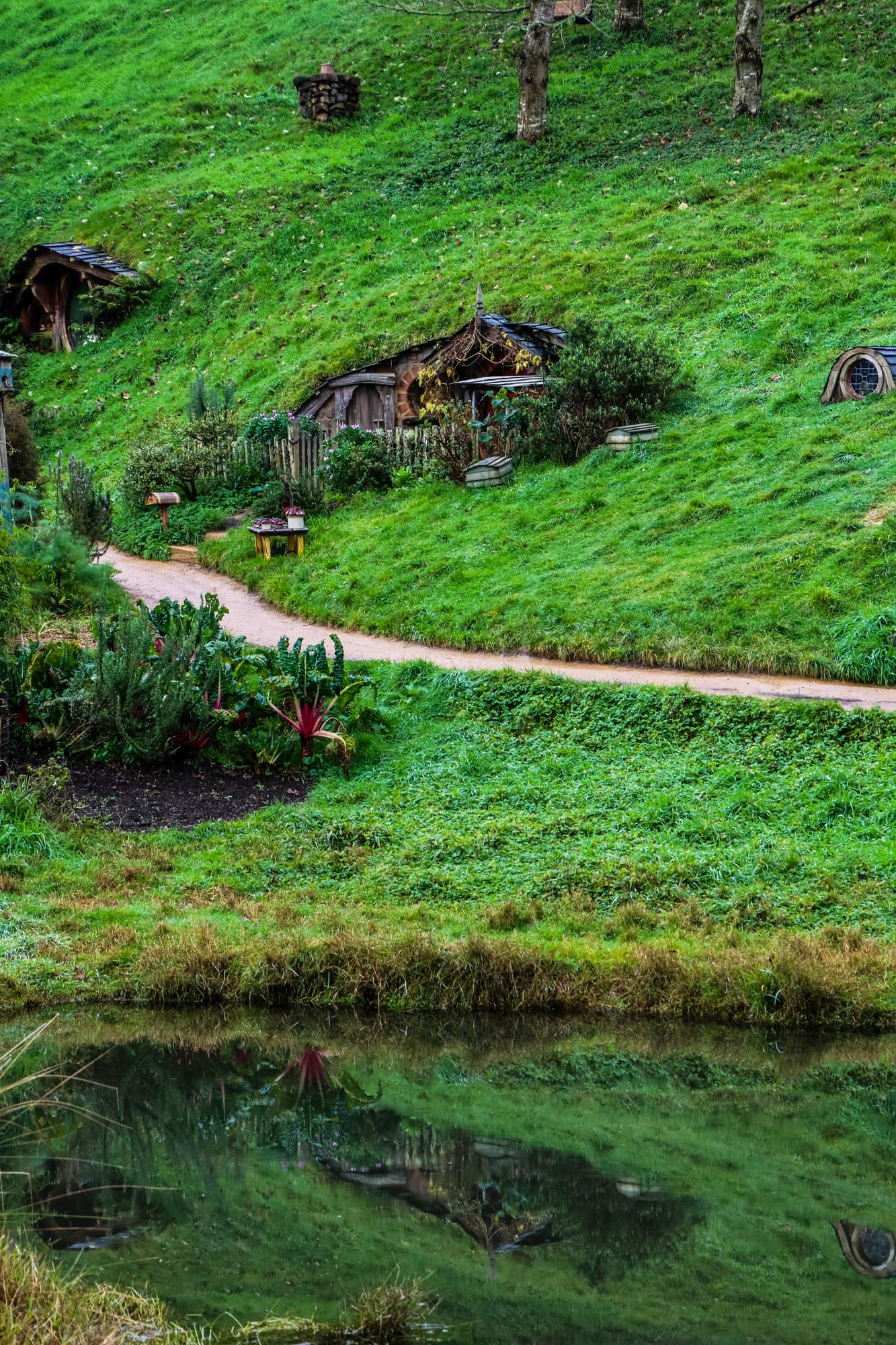 Hobbiton, New Zealand
