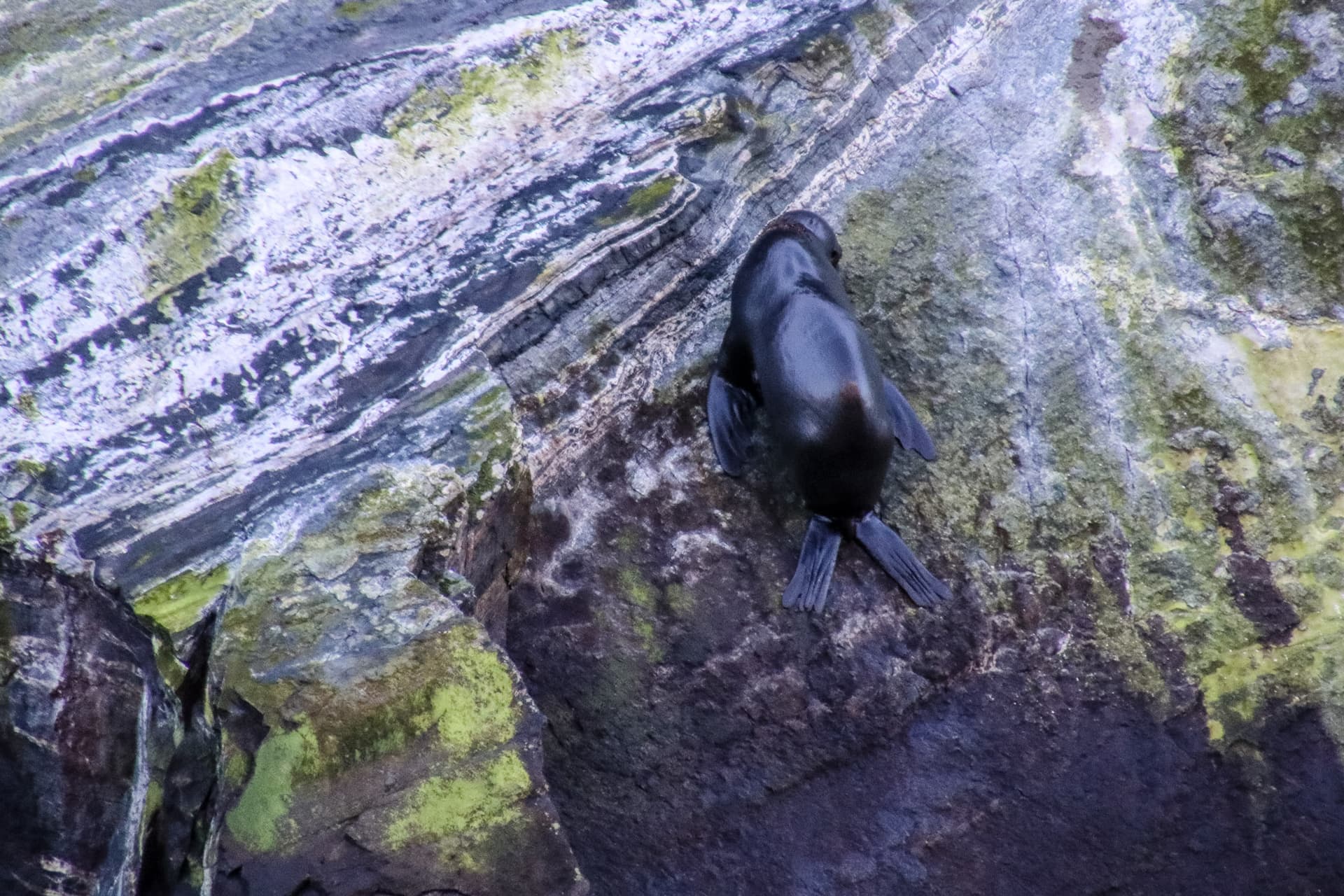 Milford Sound, New Zealand