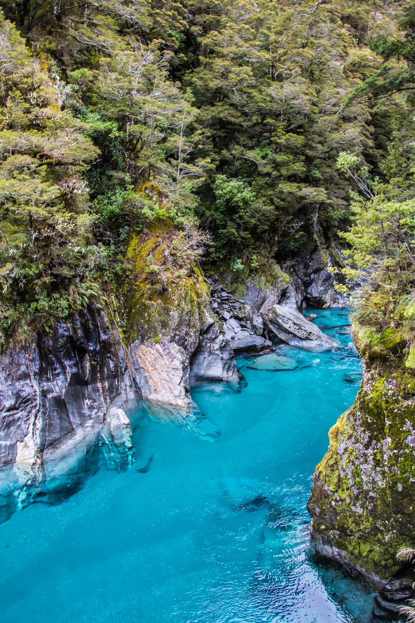 Wanaka, New Zealand