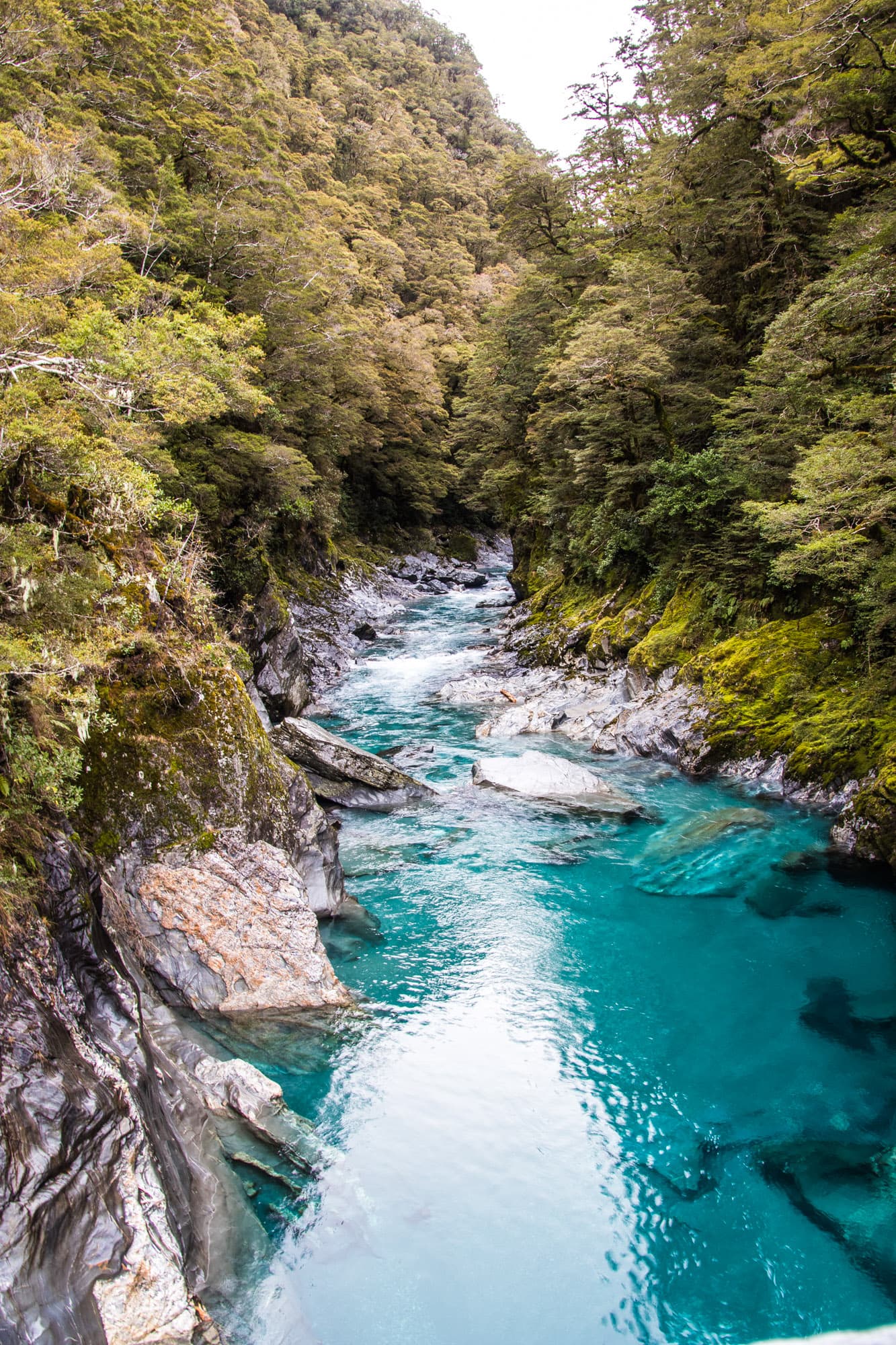 Wanaka, New Zealand