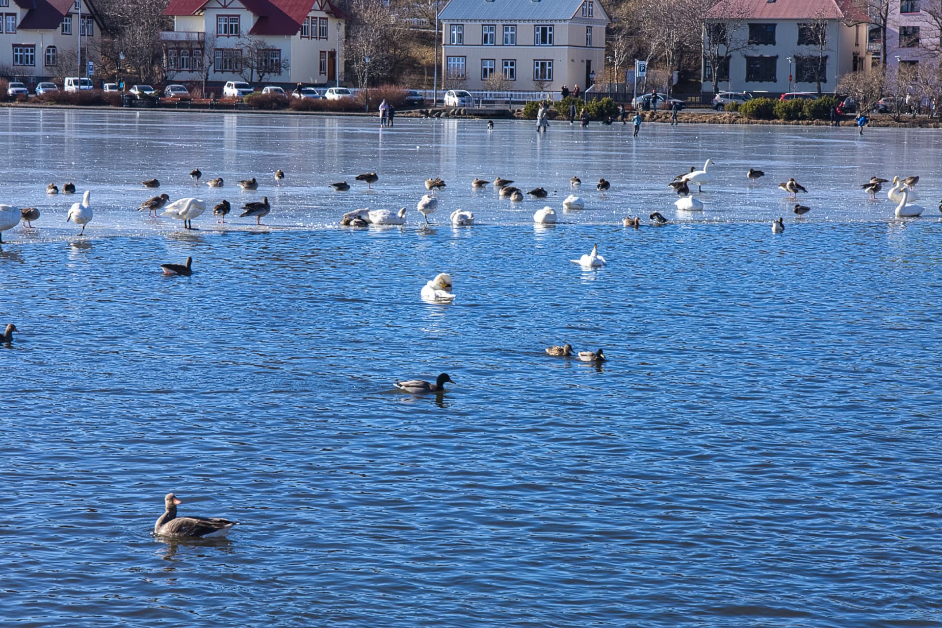 Reykjavik Iceland